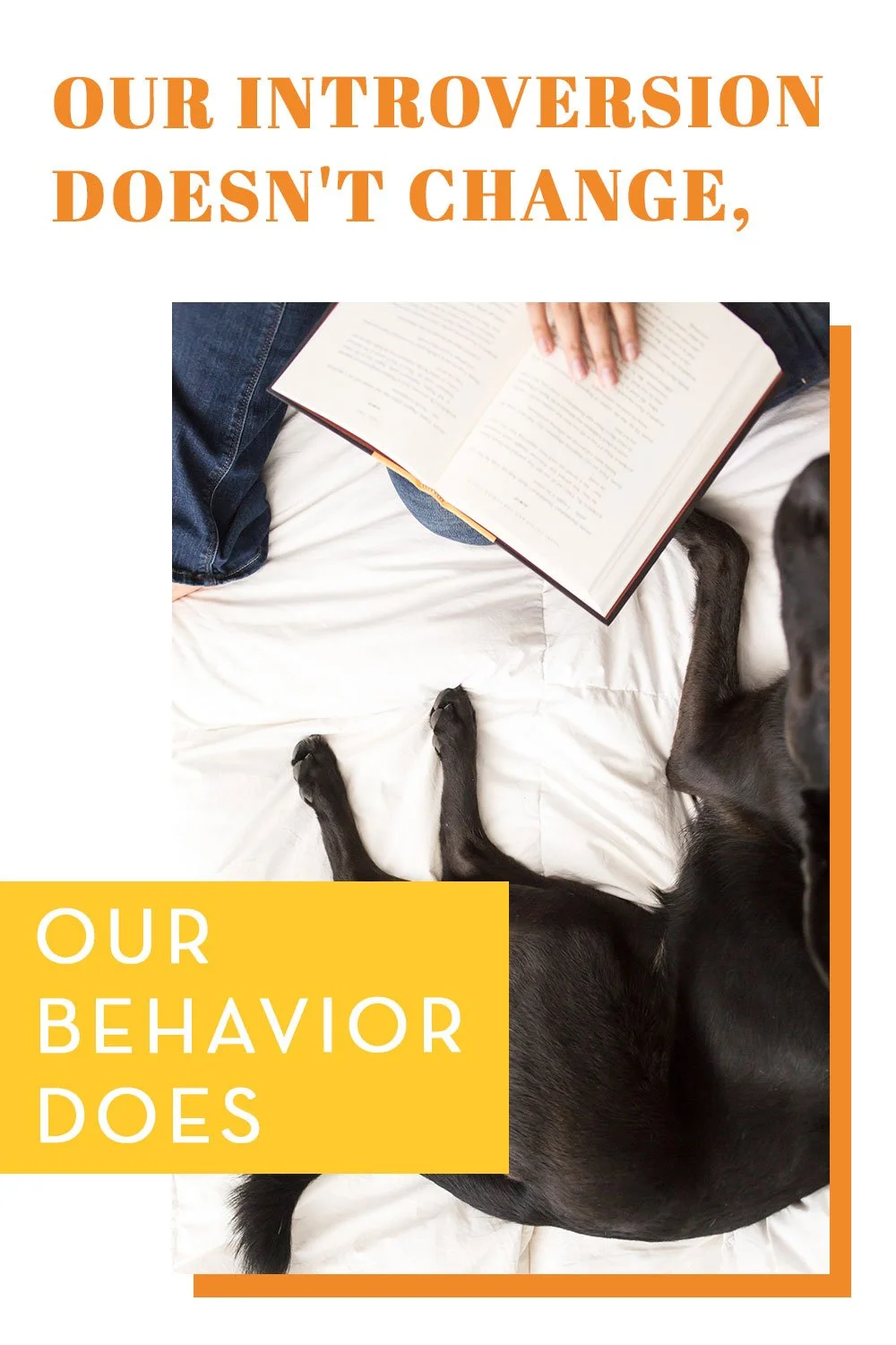 Our Introversion Doesn't Change, Our Behavior Does