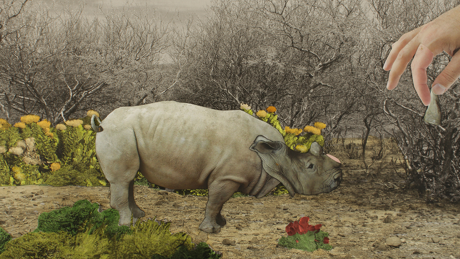 04_BS_image still_small rhino.jpg