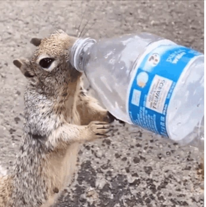 Perform a good deed - Volunteer to hand out water at a 5k