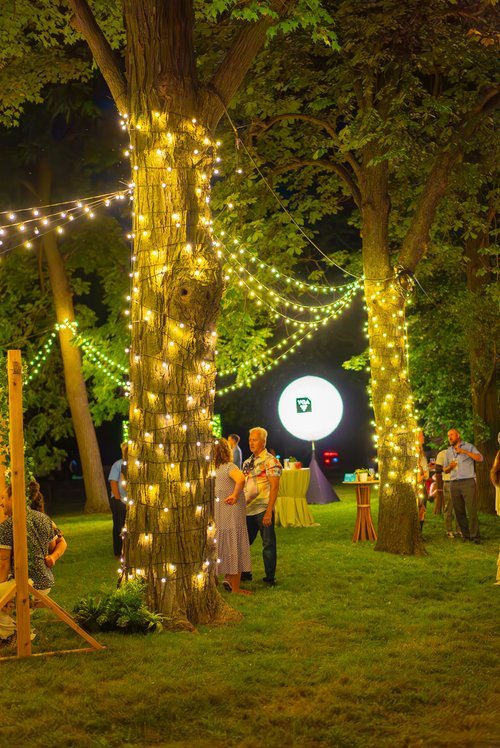 Two trees wrapped with light strands while people are gathered at i4C