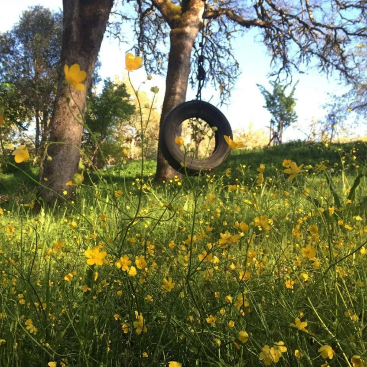 Spring into Fun: Fête’s Upcoming Events