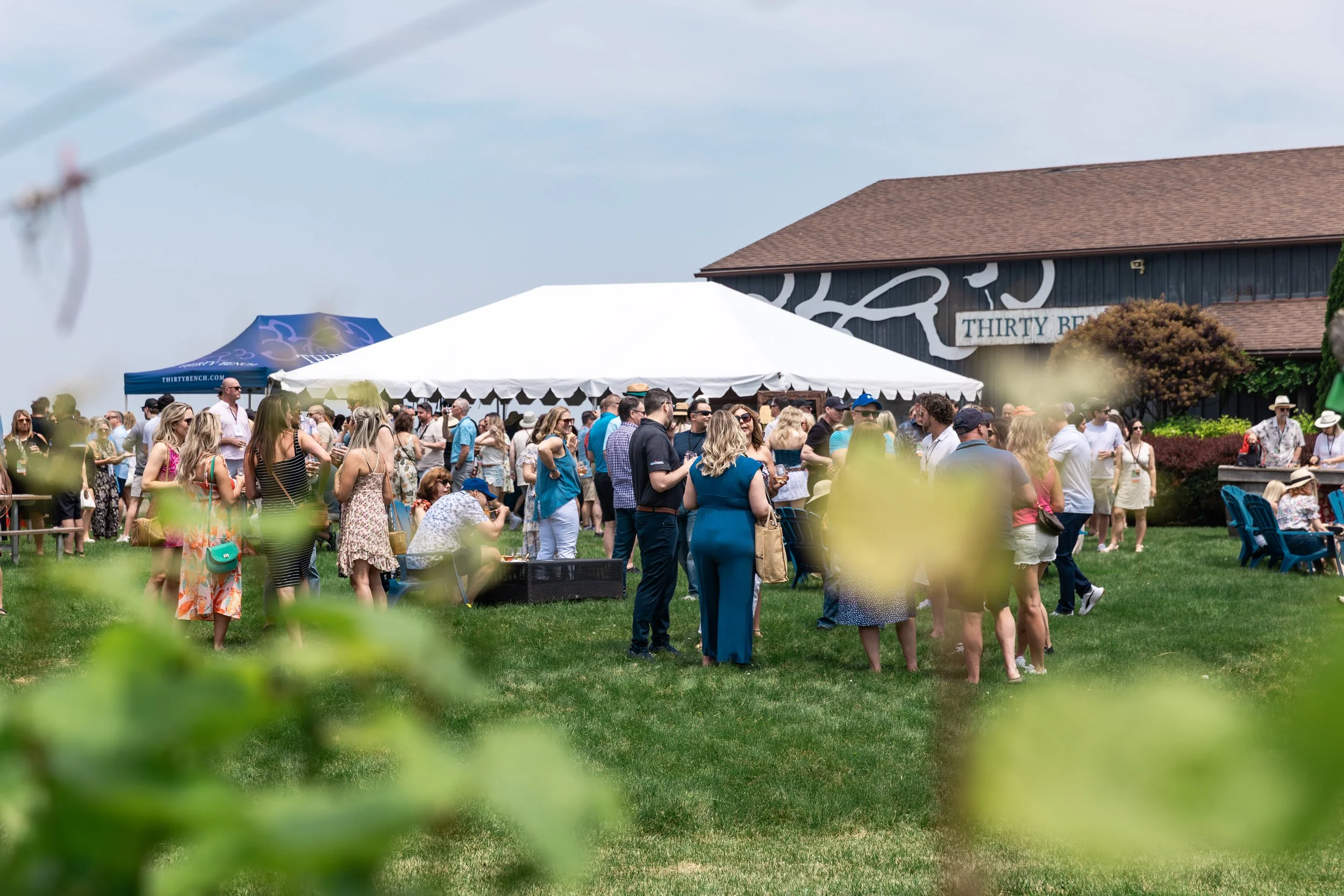 Niagara Wine Event Planner