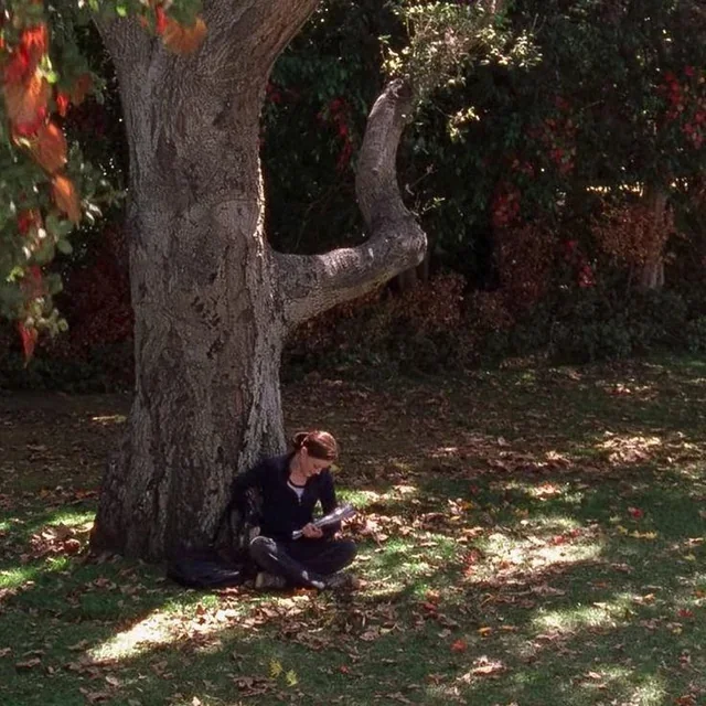 Rory studying under a tree