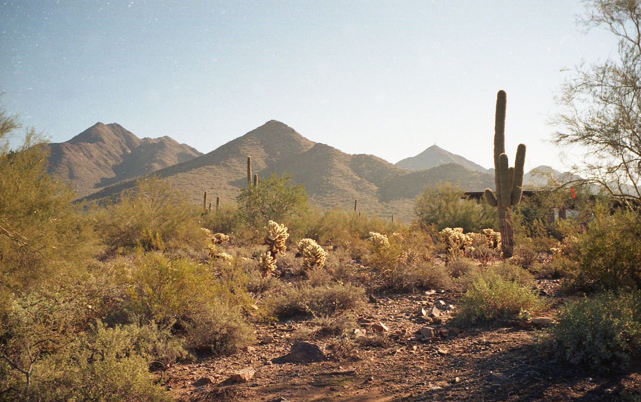 Arizona