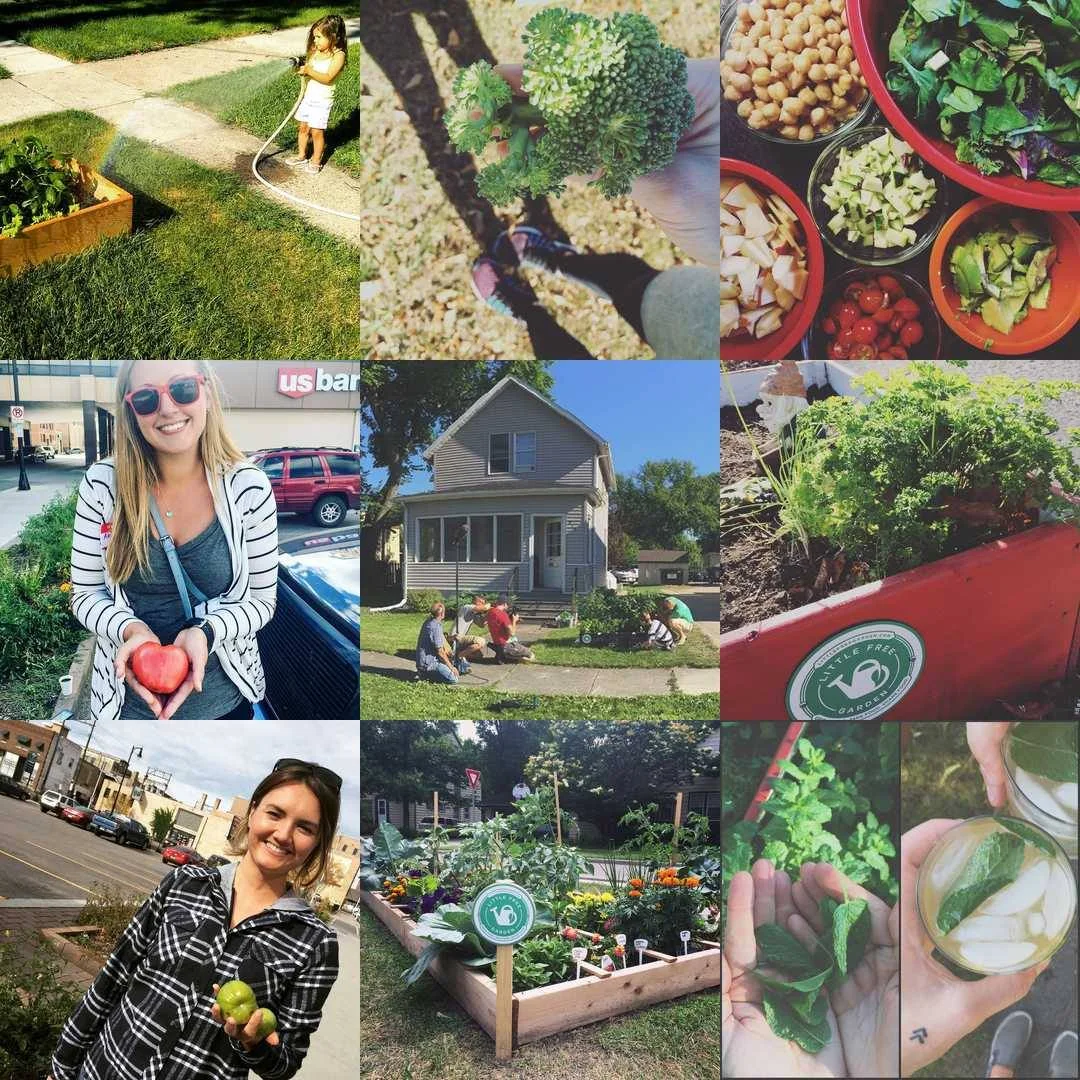 Check out #LittleFreeGarden on Instagram to see more photos from our Little Free Garden project.&nbsp;