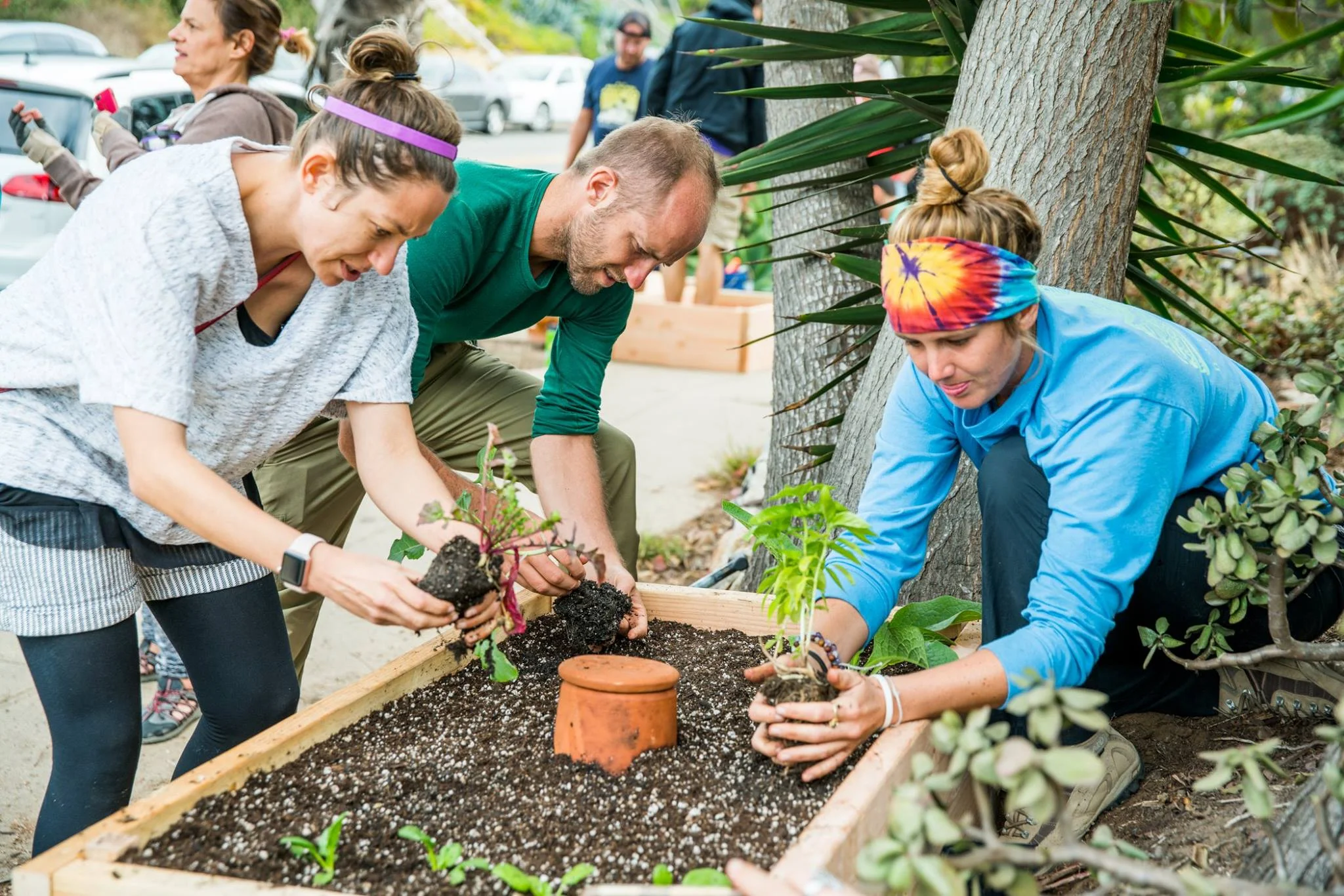 Rob Greenfield and friends work to plant a Little Free Garden during a build event in San Diego, California in the fall of 2017. Photo credit: Drew McGill