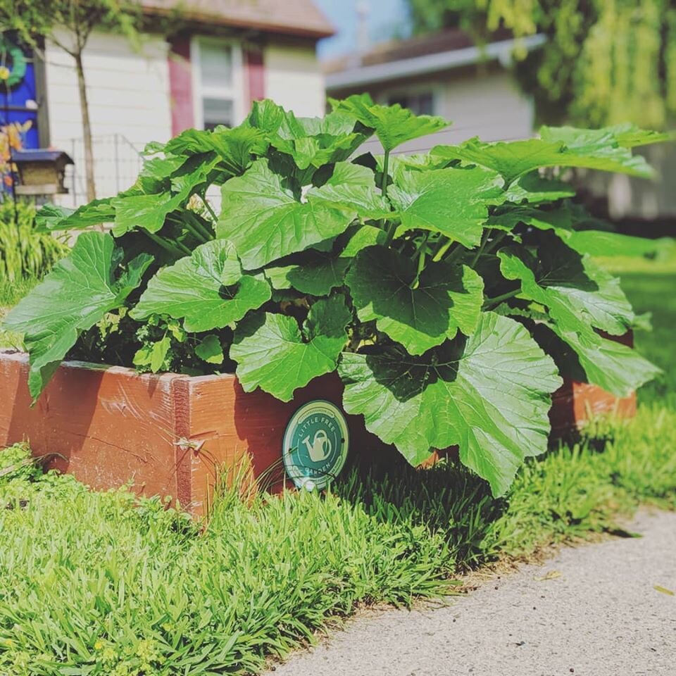 Don's Little Free Garden Column May 2020