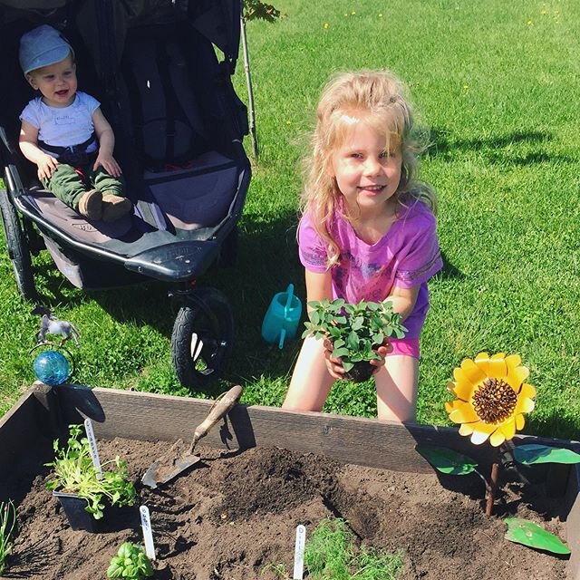 How dear are these tiny gardeners? 😍

We're excited to see #LittleFreeGarden no. 40 back in action for its FOURTH season! 🎉🌱 #foodofthenorth #communitygarden #growyourownfood #visitstcloud