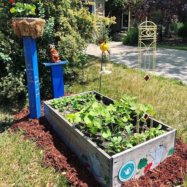 Coming soon to #LittleFreeGarden no. 137: radishes, green beans, peas, and lettuce! 🥗💕 Join our community committed to growing and sharing food today via @fargostuff 🌱 [link in bio] 
#foodofthenorth #communitygarden #growyourown