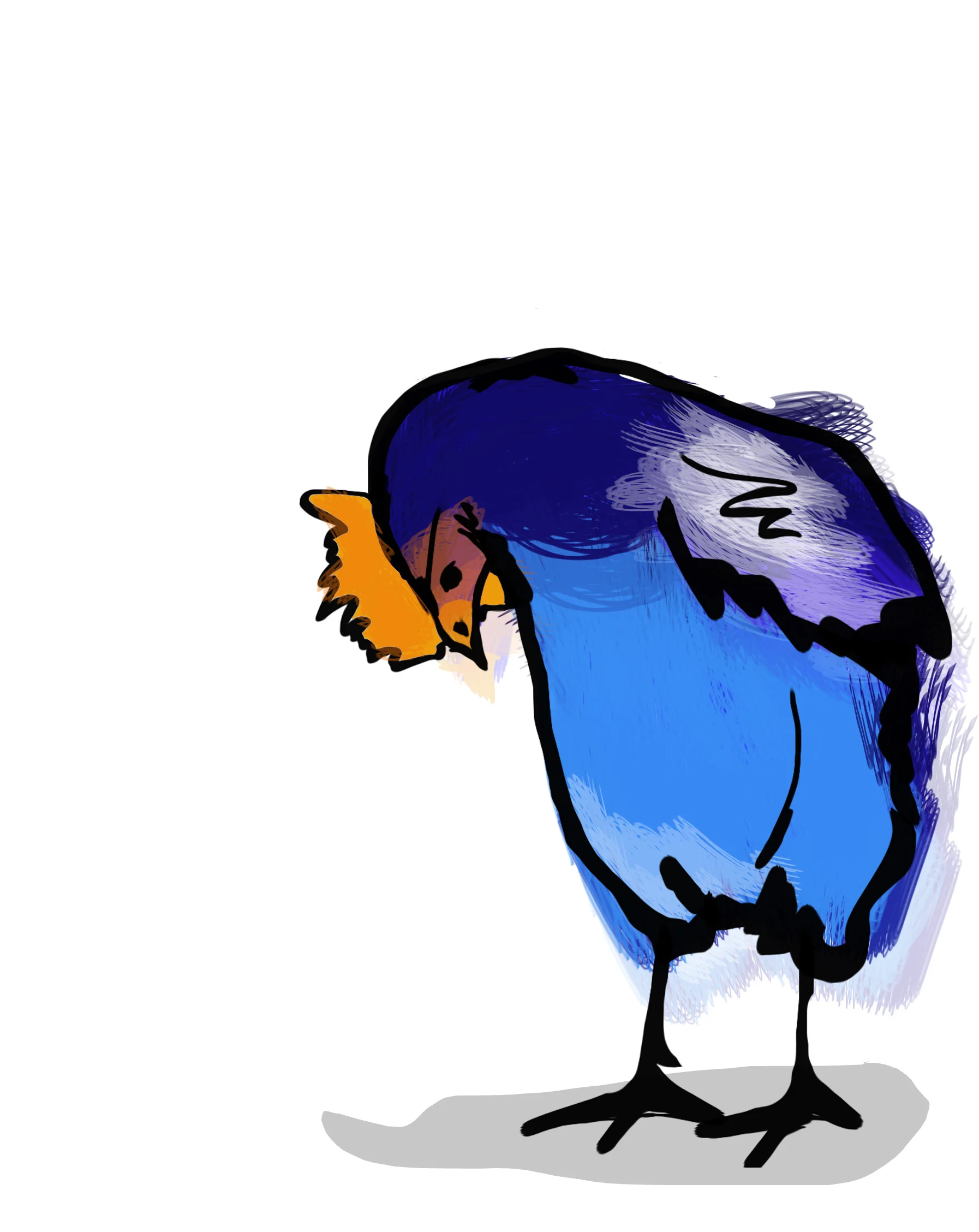 The silly argument in my first book 'I think I saw a Pukeko' is about whether a kid saw a Pukeko or a blue chicken...
