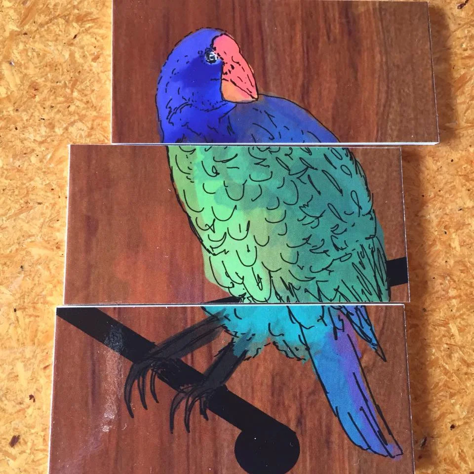 What would you call this new and interesting bird?