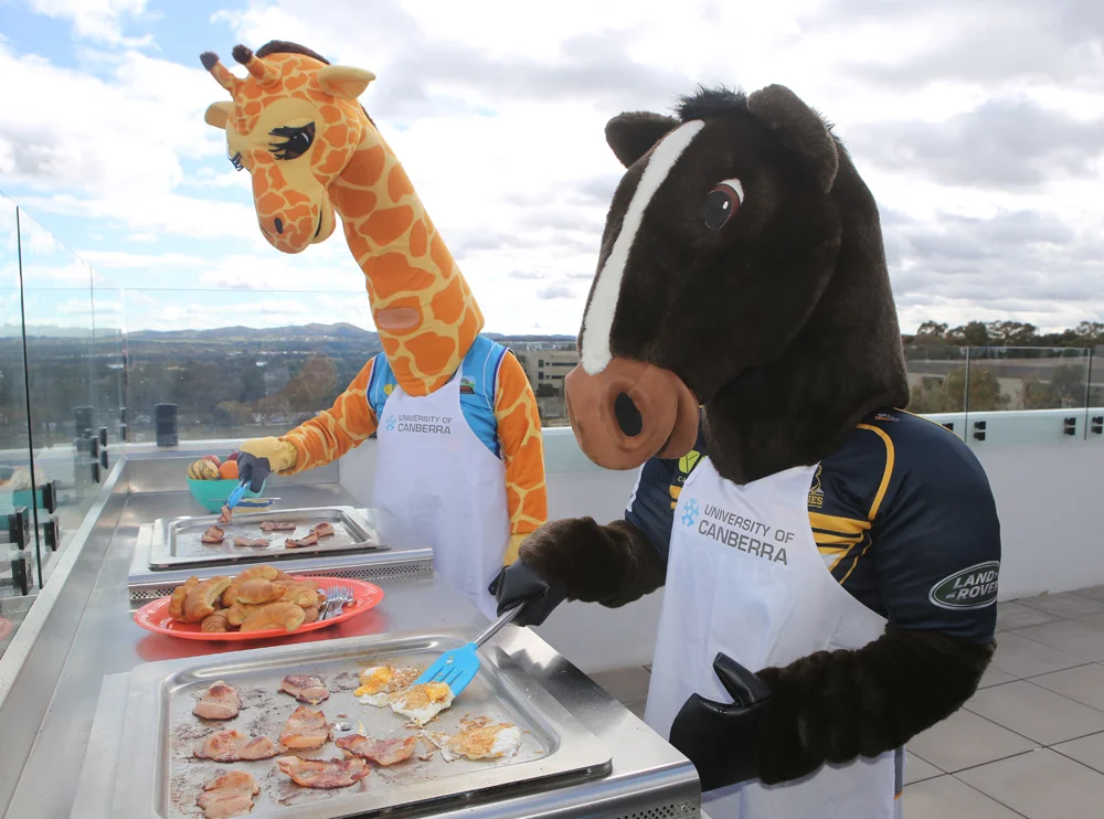 Cappie the Giraffe and Brumby Jack prepare breakfast for University of Canberra's free big breakfast to kick off its Open Day Image via Canberra Edu