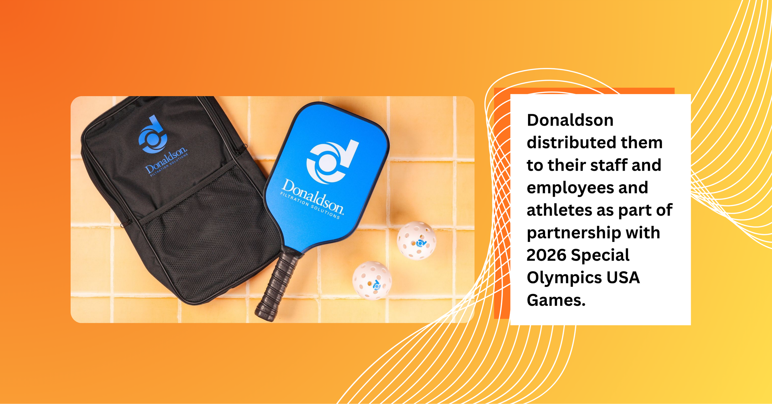 Branded pickleball paddles, Donaldson blue paddle
