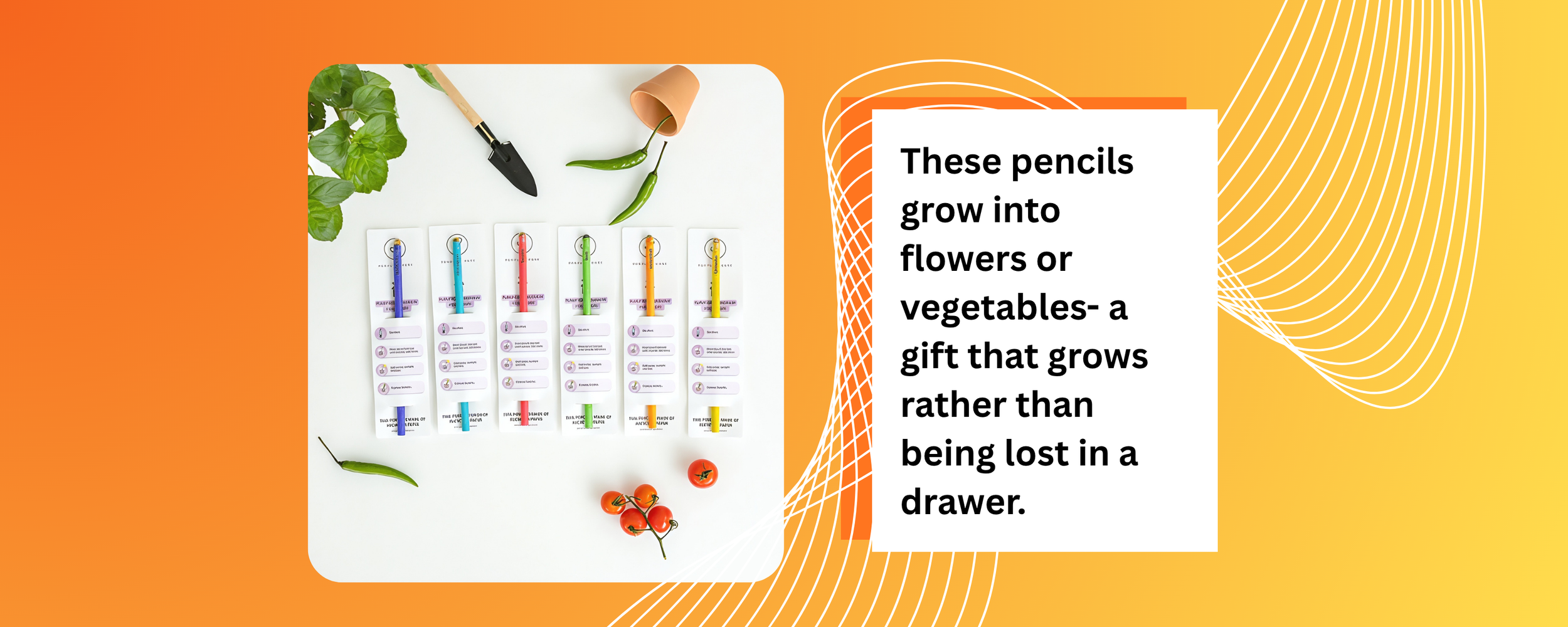 Plantable seed pencils as sustainable corporate gifts Singapore aligned with Green Plan 2030