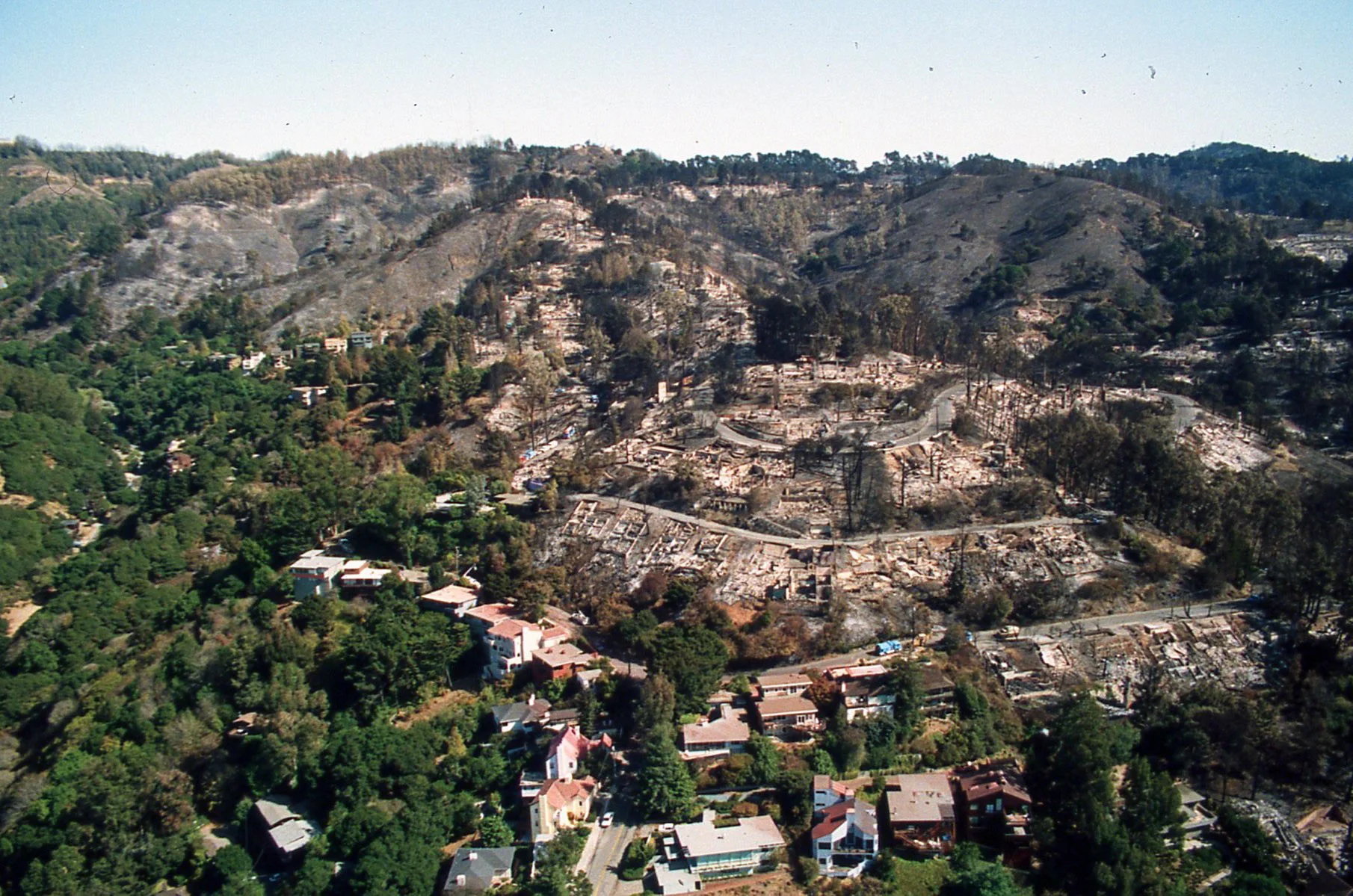 In the 1991 Firestorm, homes were lost on ridges without fuel breaks. Fire crowned in the eucalyptus grove above Gwin Canyon but did not spread into the oak/bay woodlands of Garber Park (bottom left corner of the above photo)