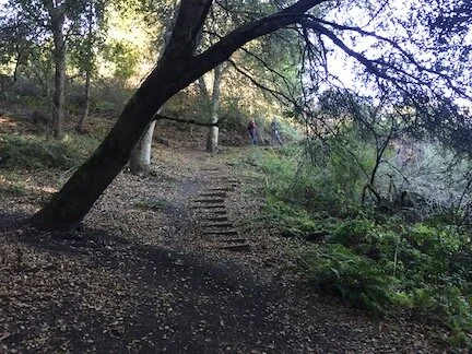 Summit House Trail with steps 92 KB.jpeg