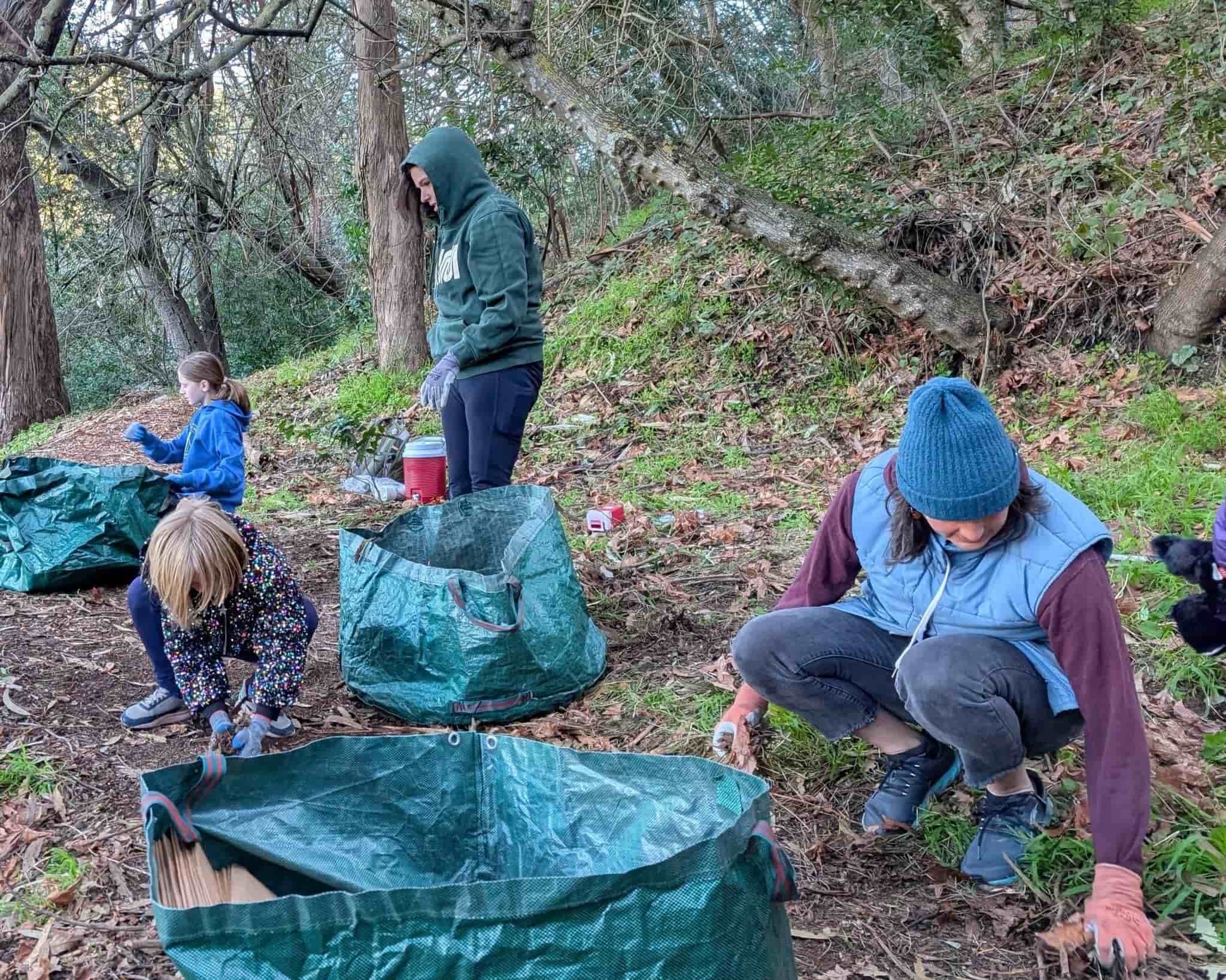 Volunteer with the Garber Park Stewards | March 1st from 9AM-12PM