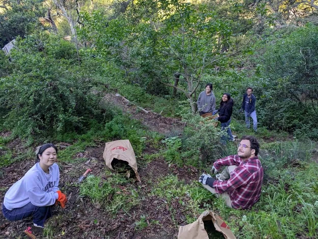 Garber Park Stewards Volunteer Day | Saturday, July 11 from 9am-12pm