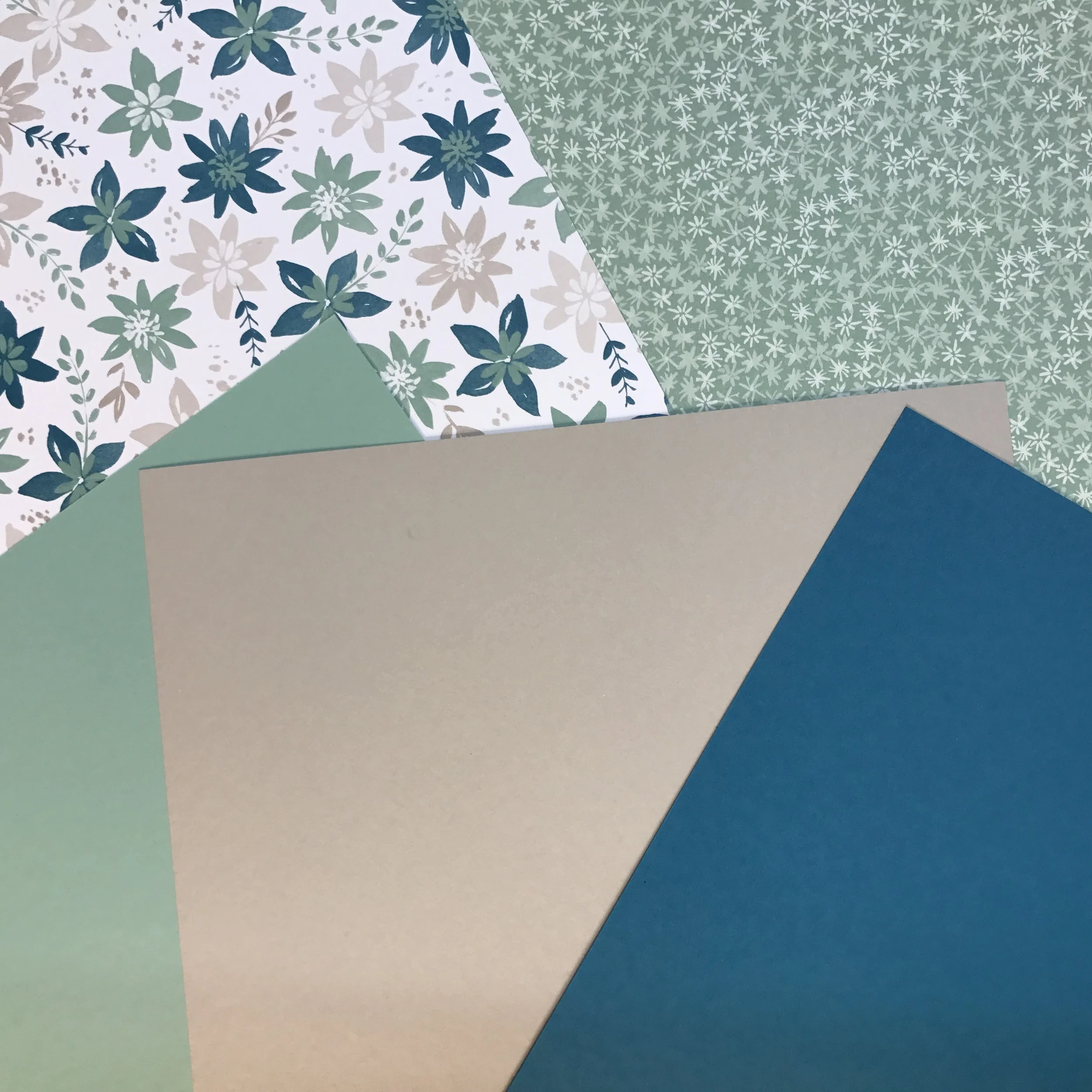 Blooms & Bliss DSP with Island Indigo