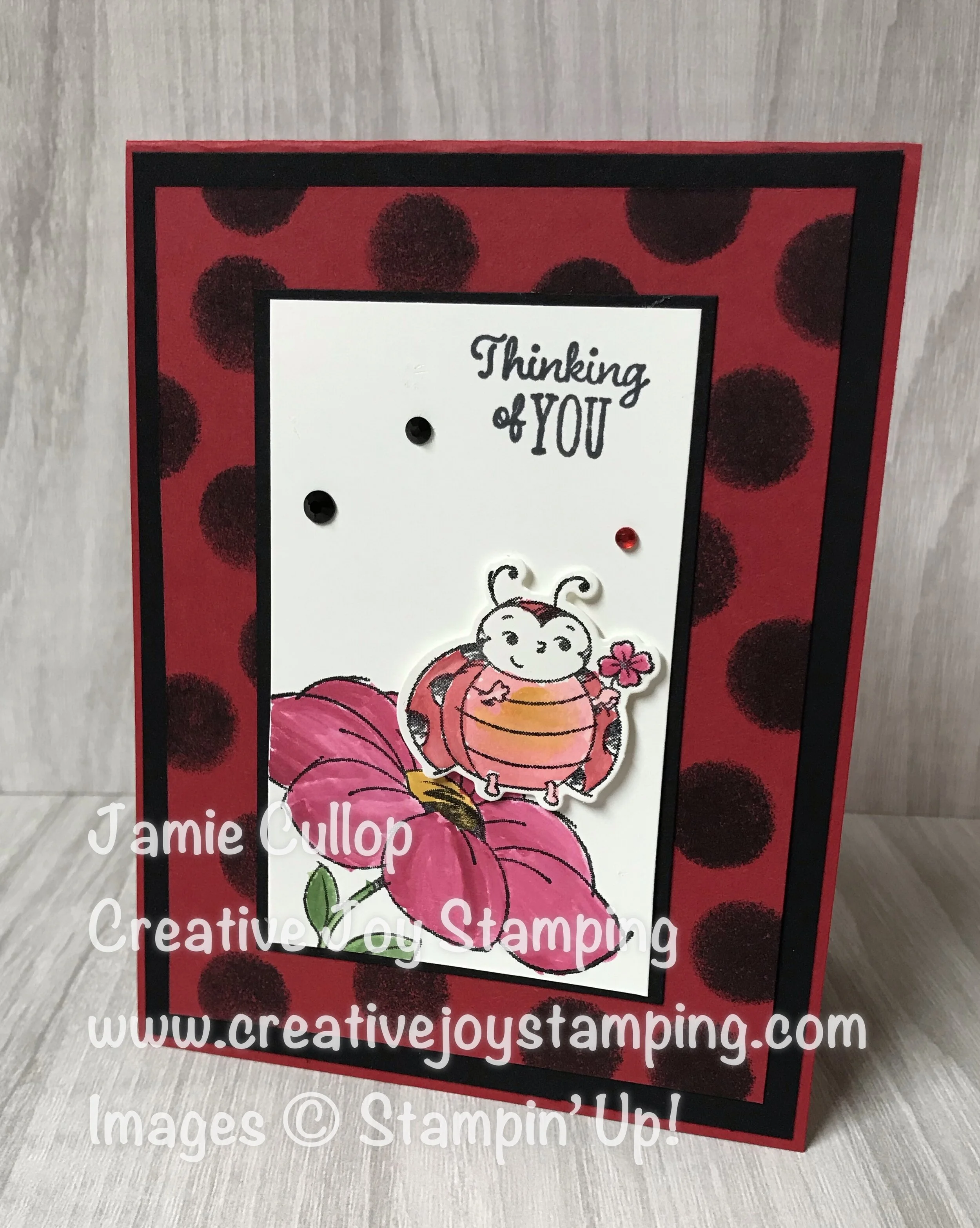 Little Ladybug Card