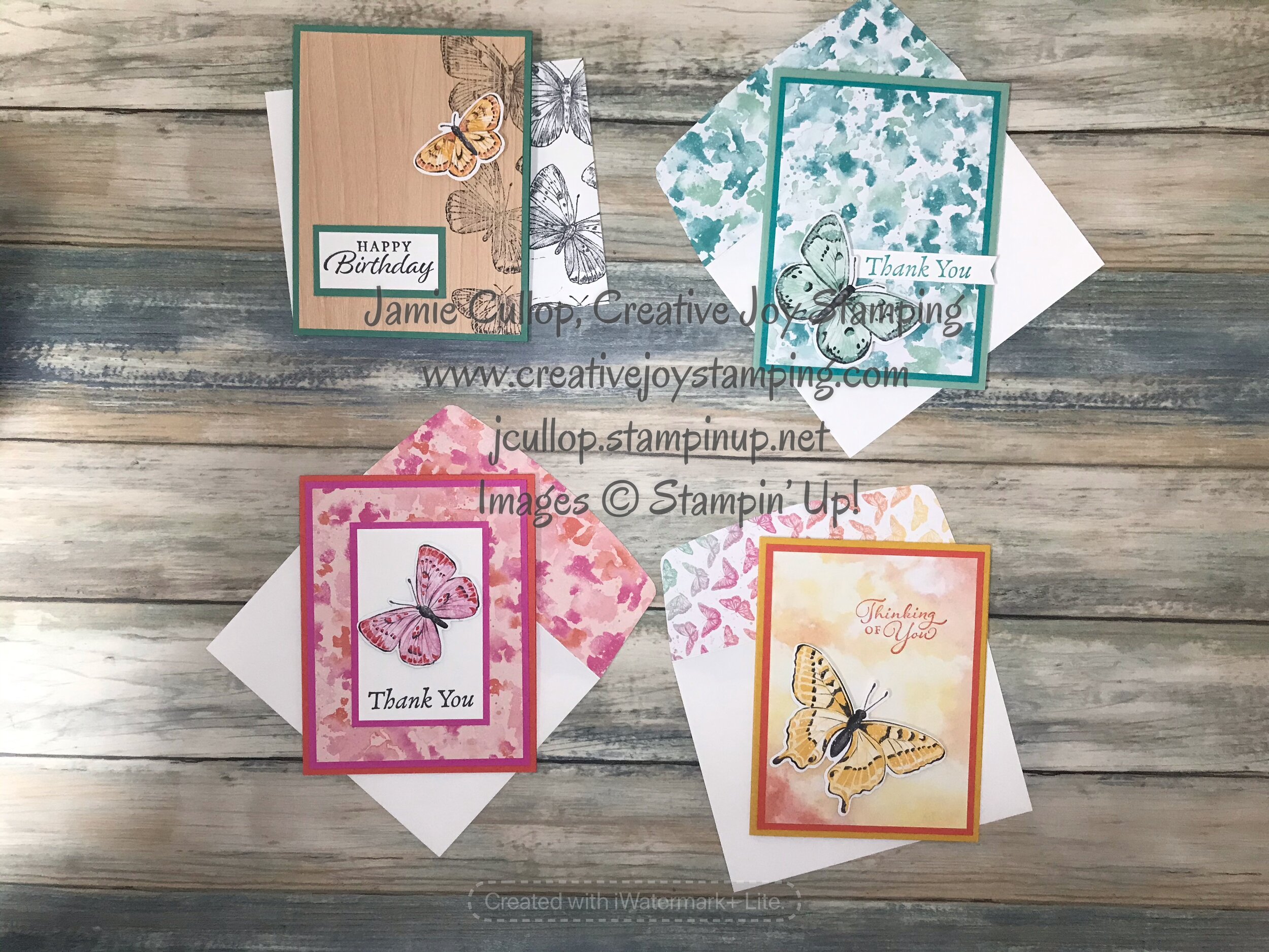 Butterfly Brilliance SIP & WOW Class - Instructions over Zoom