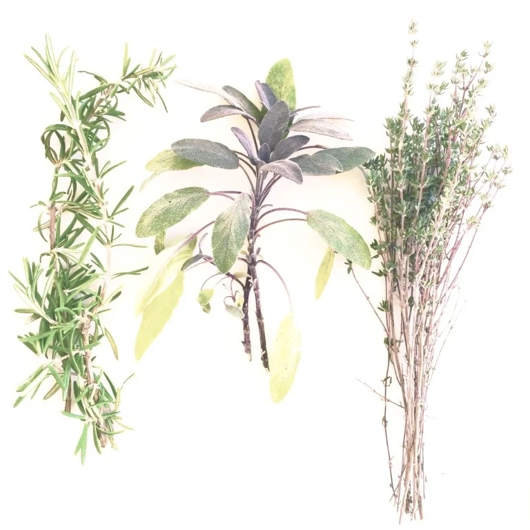 Creating Balance With Personalized Self Care & Hypnosis