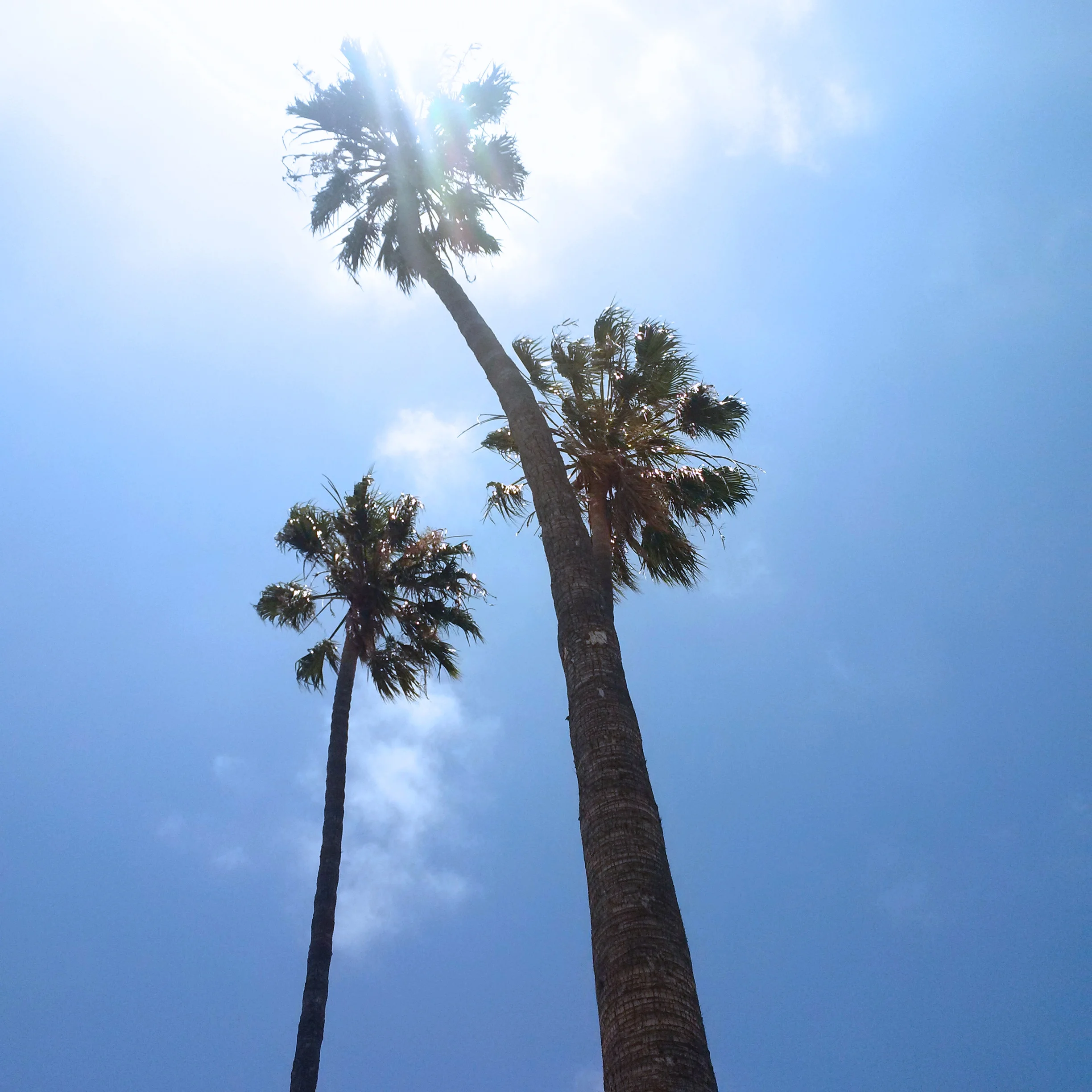 SESSIONS AND WORKSHOPS IN LOS ANGELES / SKYPE