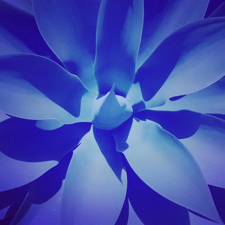 RA MA VENICE - CREATE MORE BALANCE WITH AN ACTIVE MEDITATION