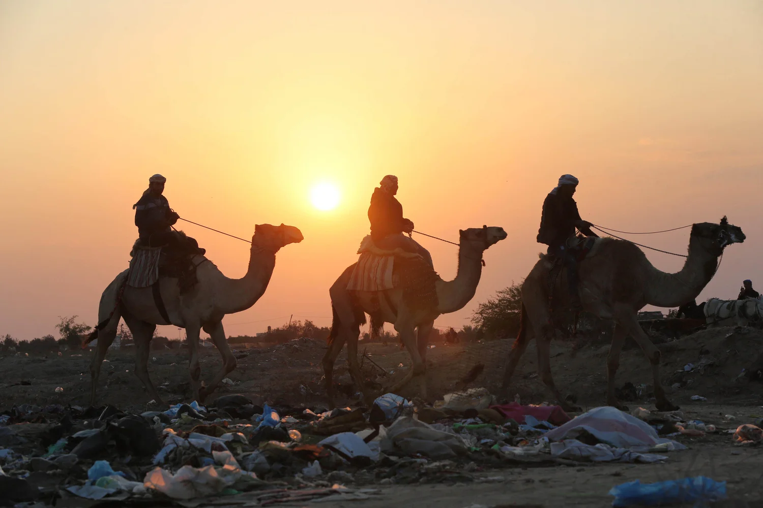 Palestine in Pictures — Alliance for Water Justice in Palestine