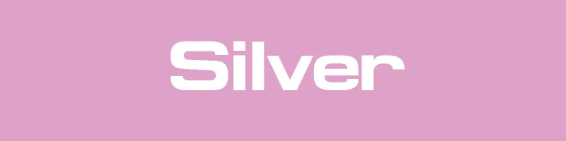 bhs-silver-plan.jpeg