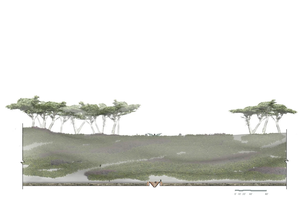 SUTRO SECTION 2 WITHSCALE.jpg
