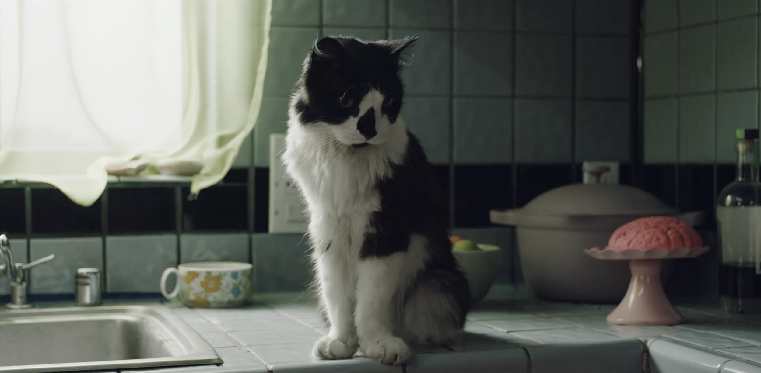 Screenshot 2025-11-17 at 9.21.49 PM.png