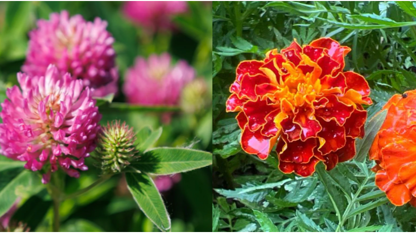 Screen Shot 2026-04-08 at 1.24.47 PM.png