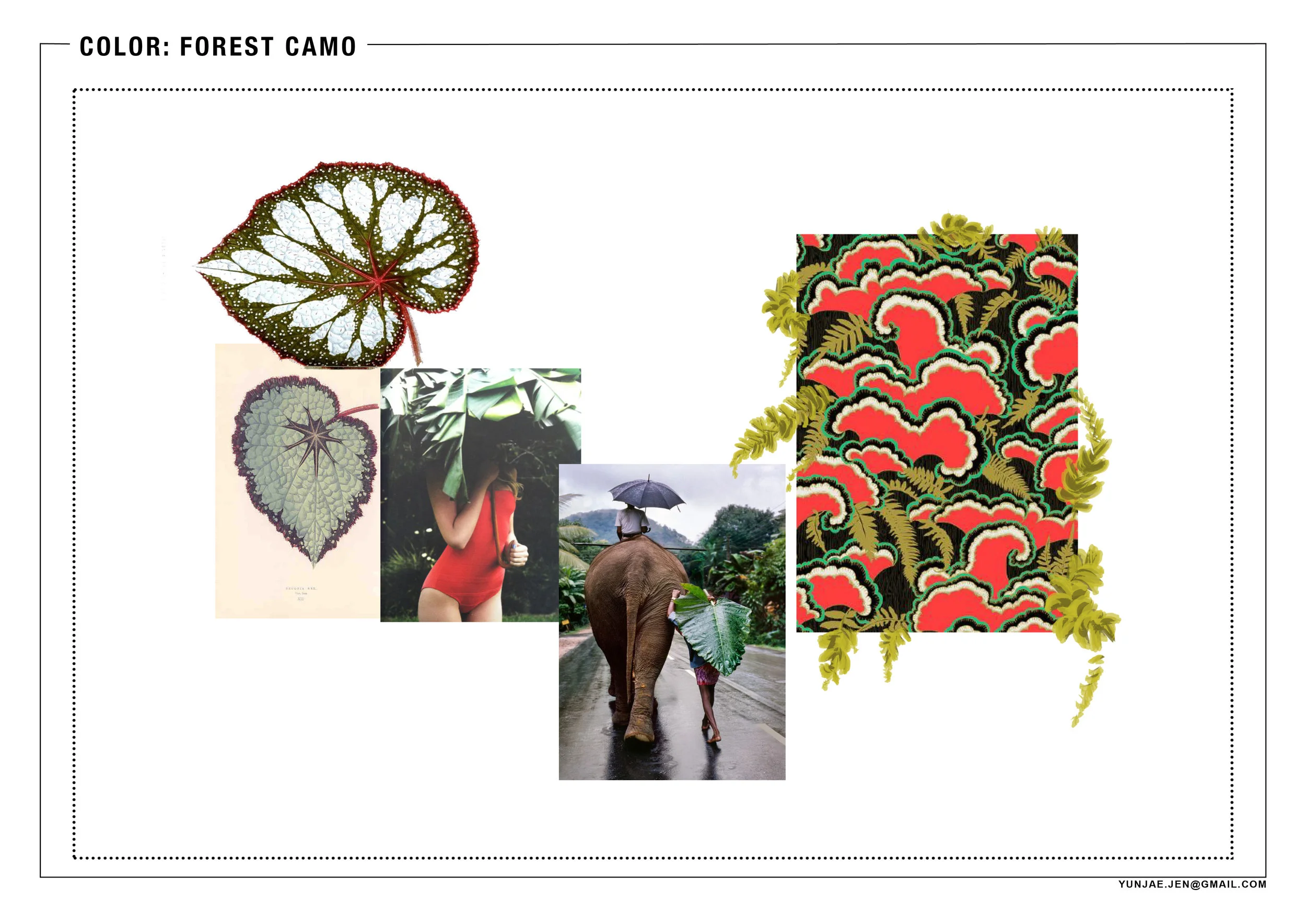FOREST CAMO 2.jpg