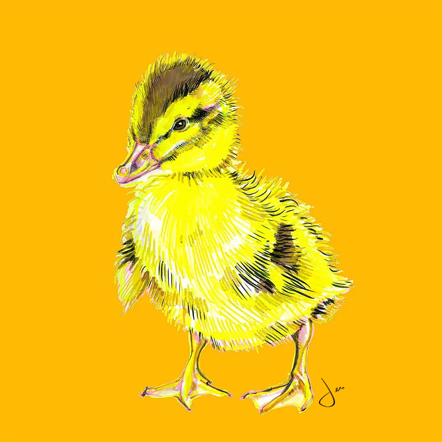 chick yellow .jpg