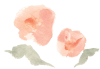 Flower-Icon.png