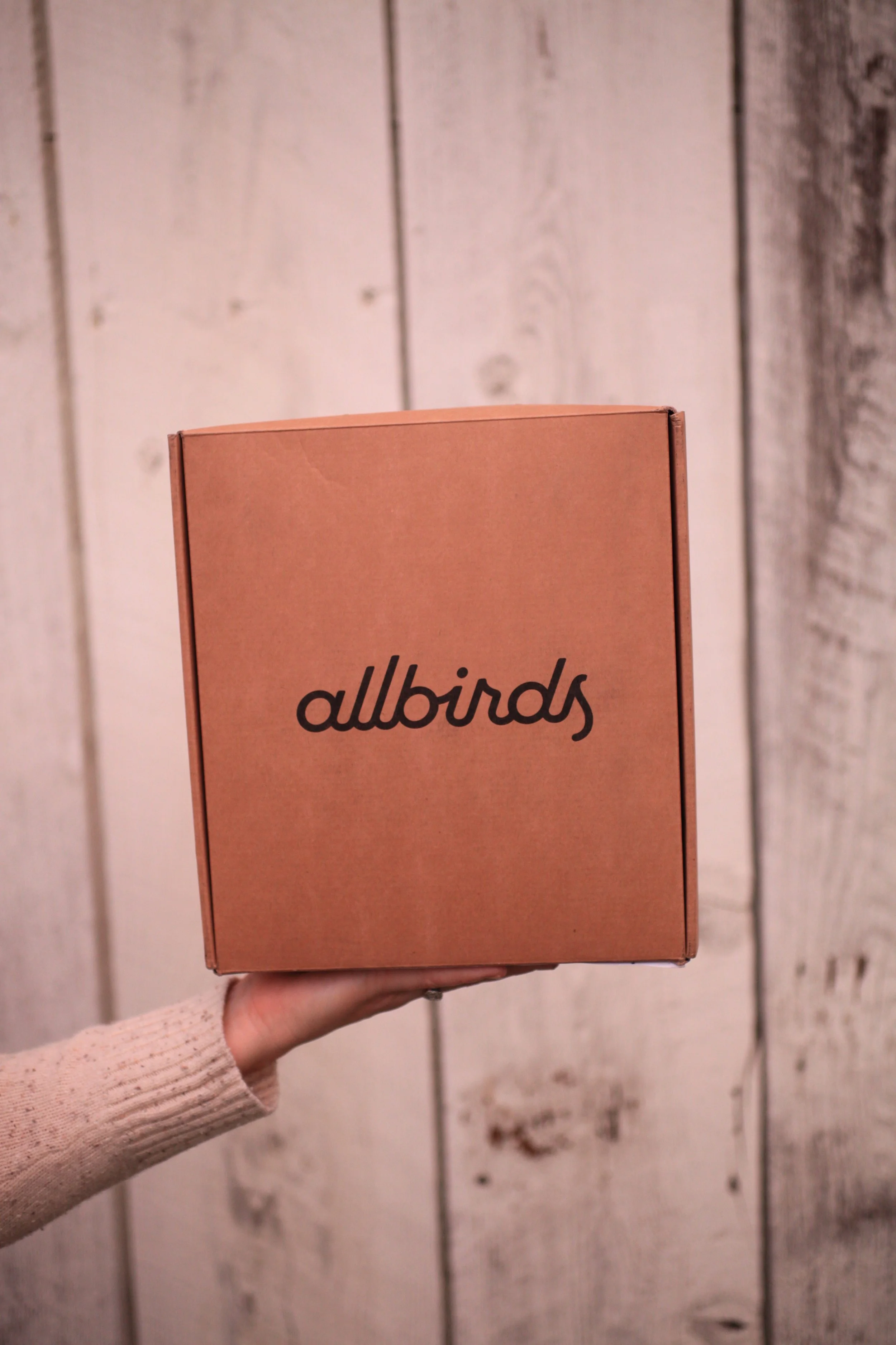 Allbirds Shoe Review