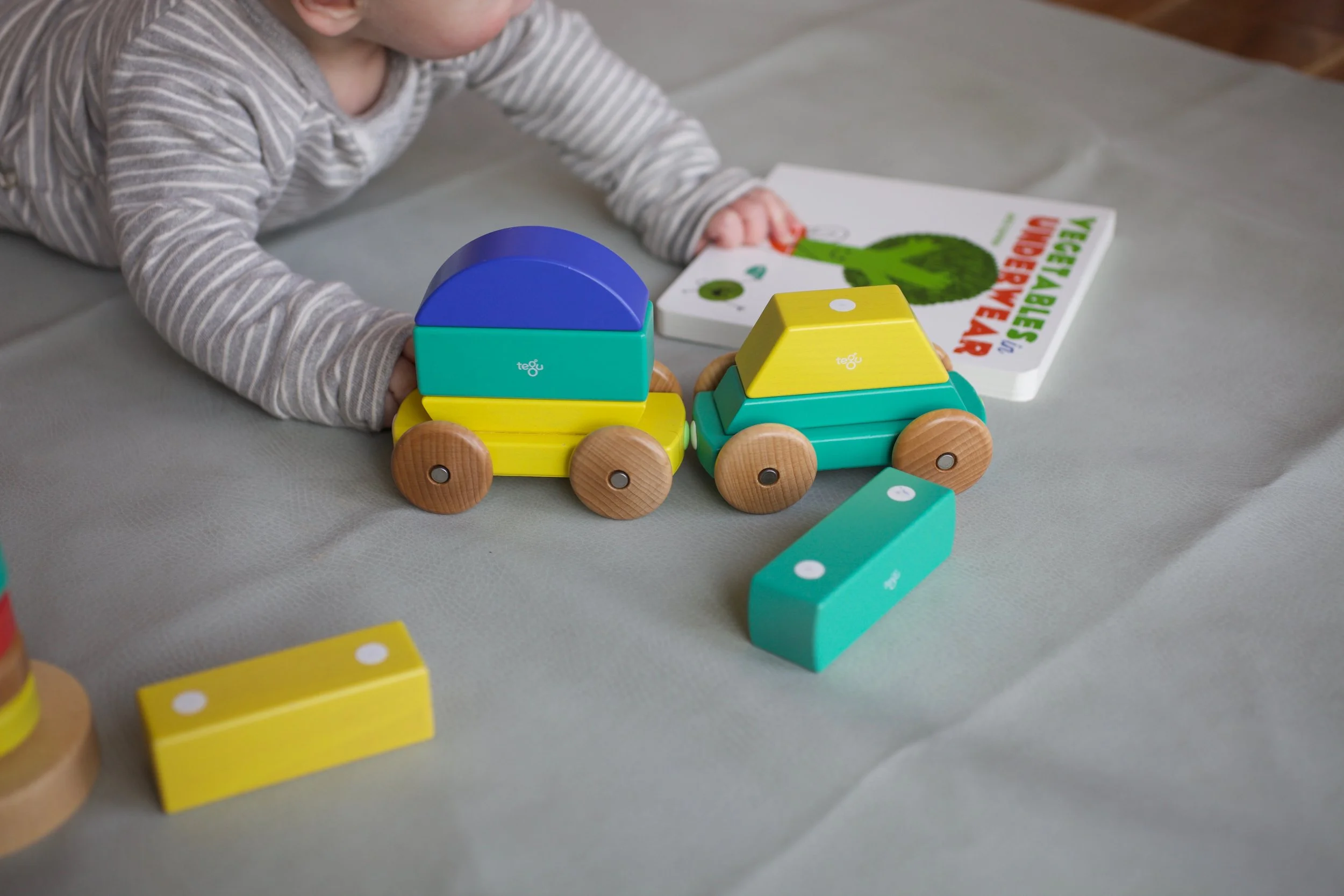 Review: Tegu Magnetic Wooden Block Sets