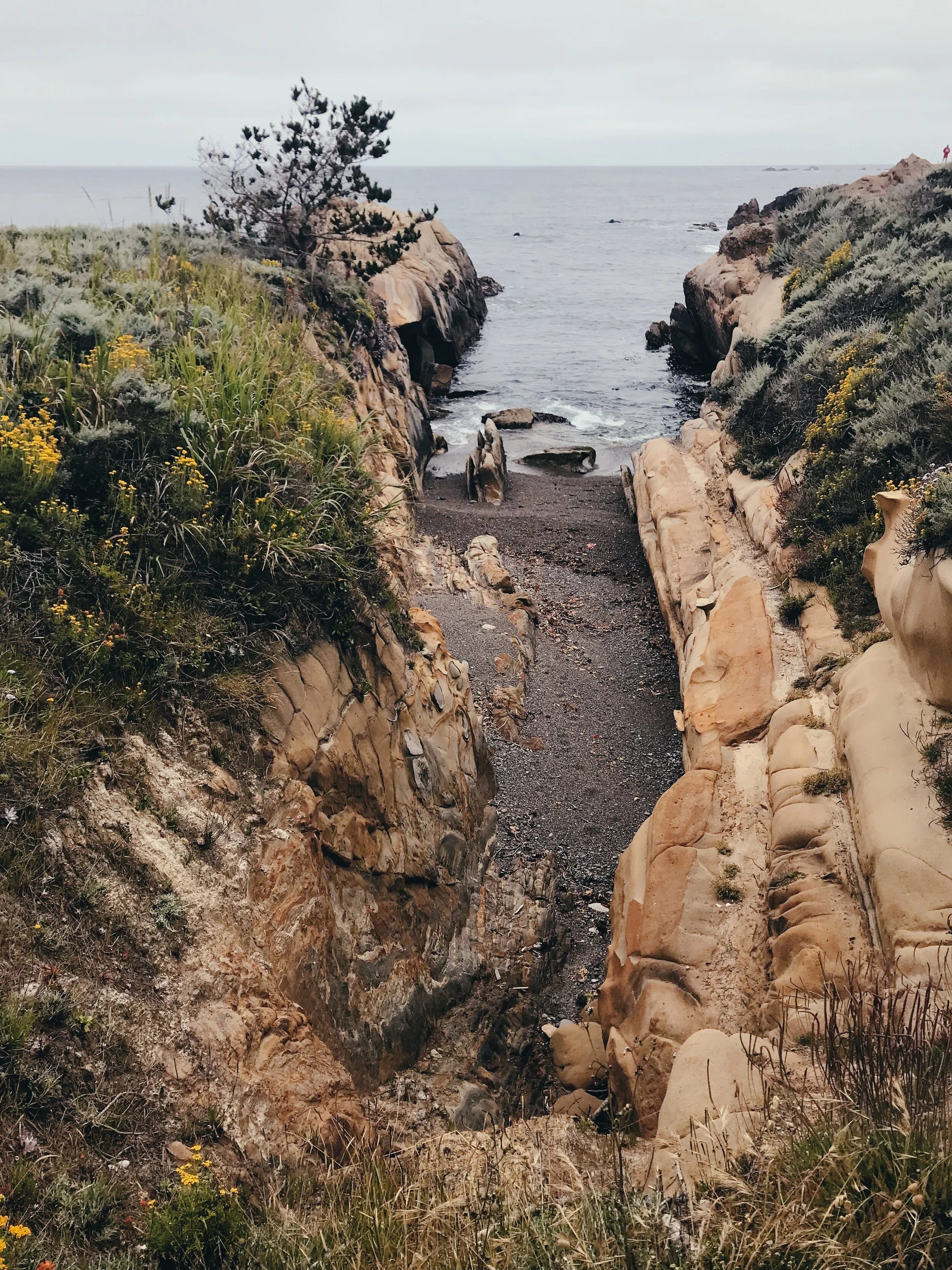 Visiting Carmel