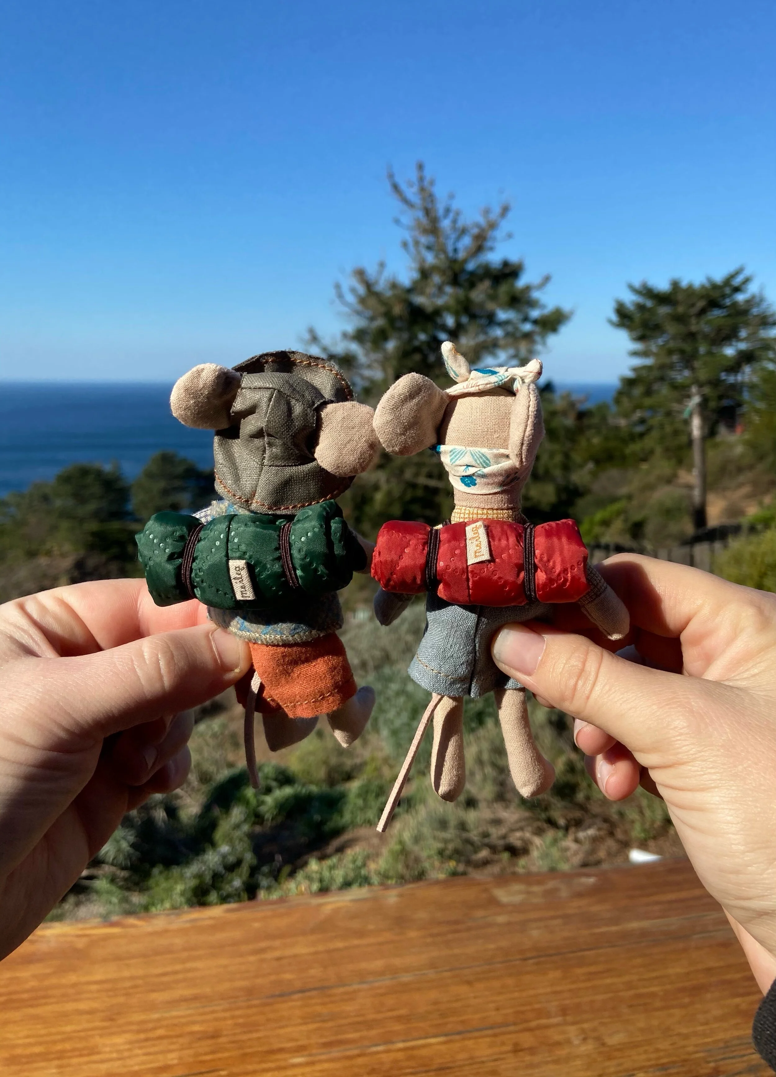Visiting Big Sur