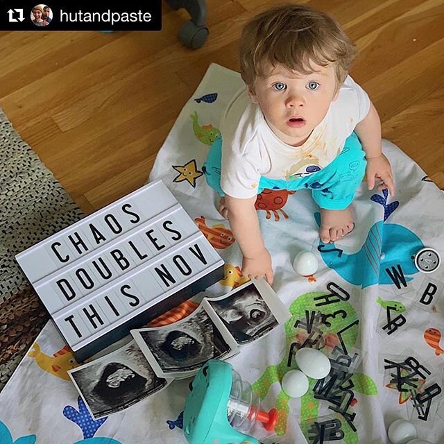 A little positivity in this crazy time 🙊  #Repost @hutandpaste with @get_repost
・・・
🙊 Denny &ldquo;how could you let this happen?&rdquo; #15monthsold #12weeks #upgrade #bigbrother