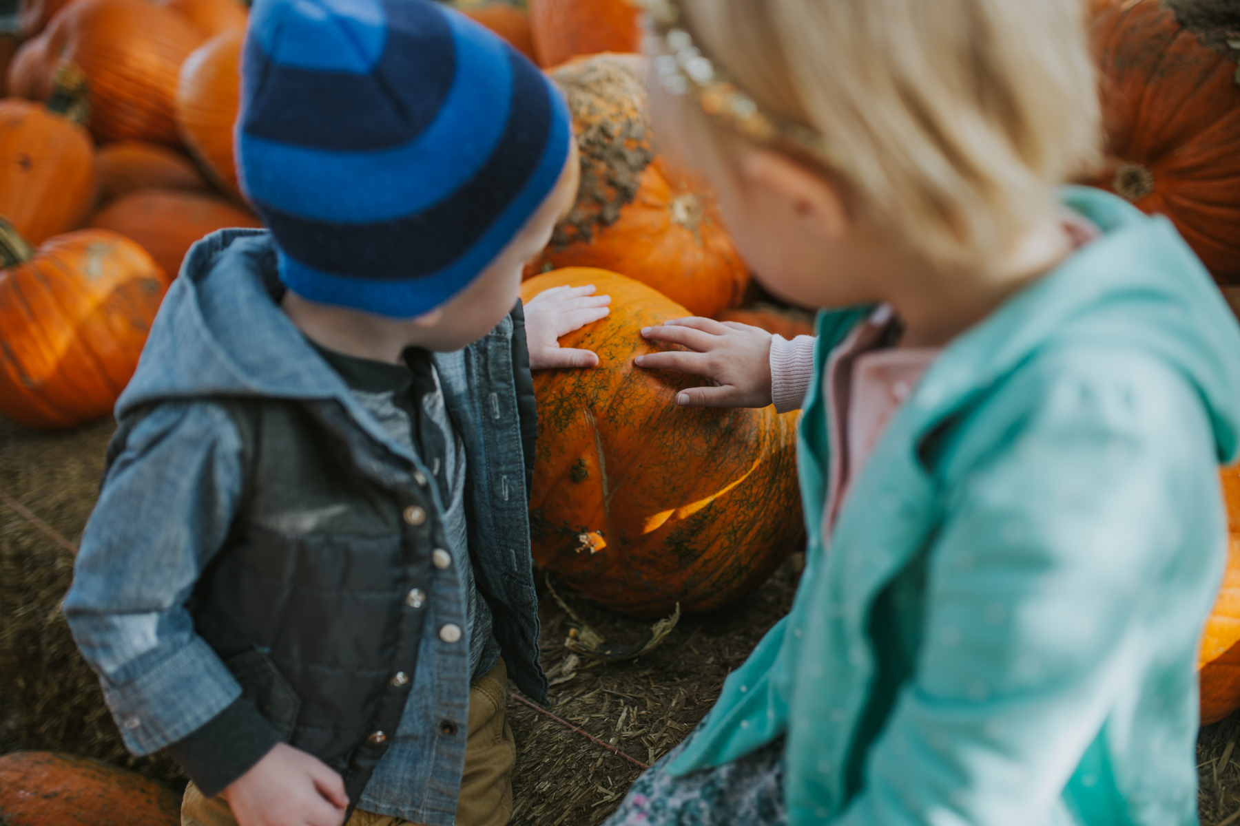 Pumpkin Patch-0375.jpg