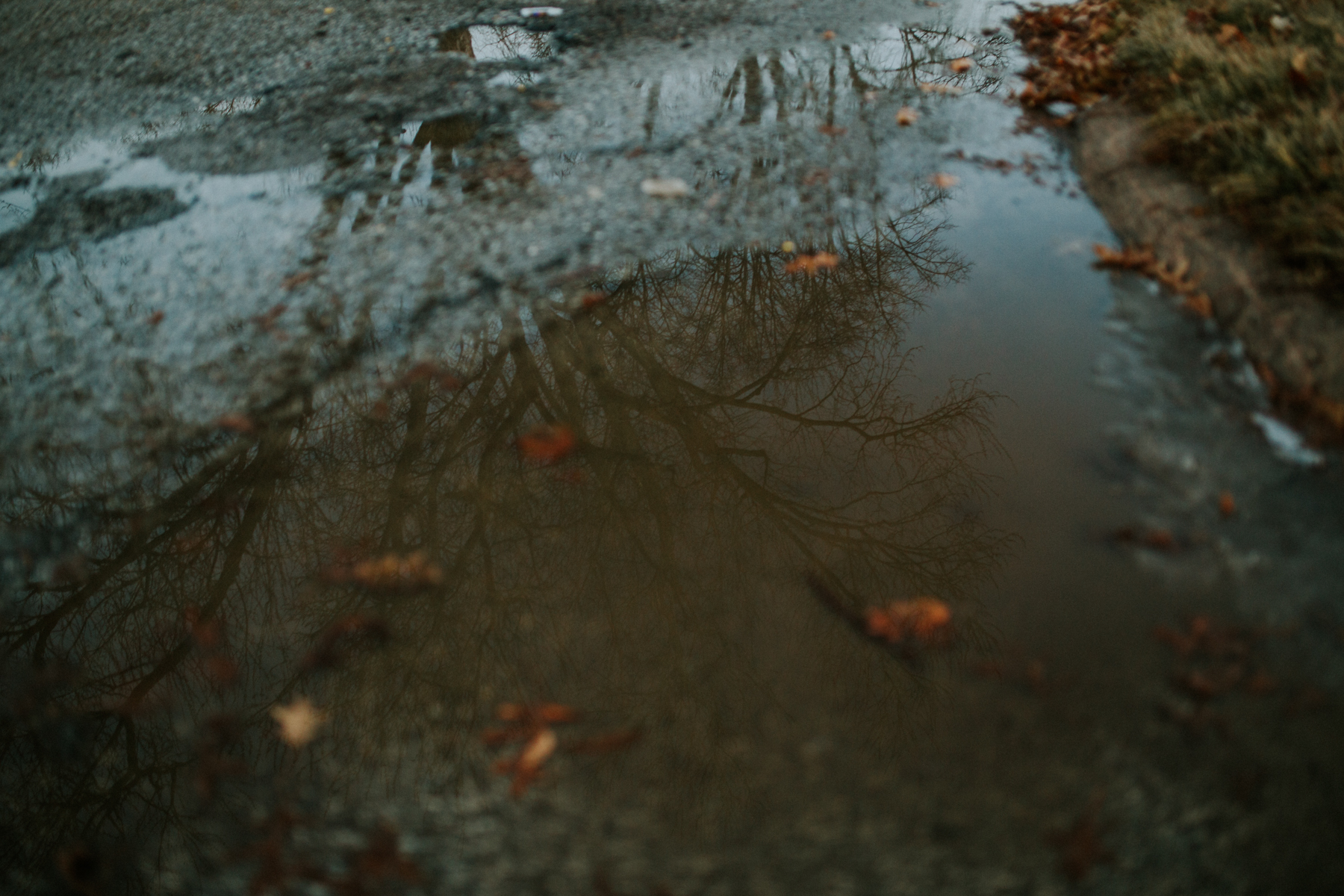 Puddles-1089.jpg