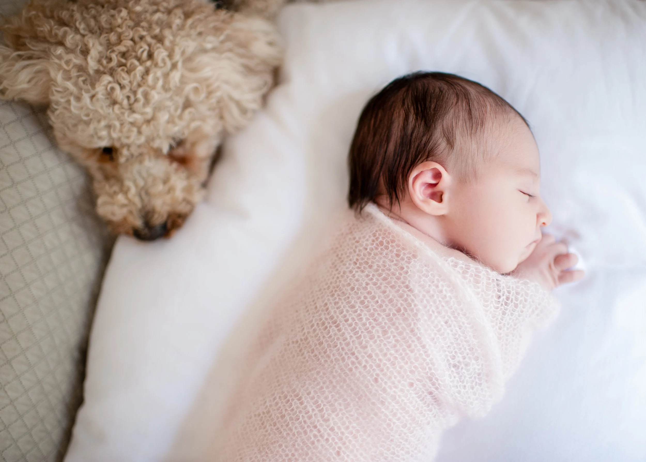 Romynewborn21.jpg