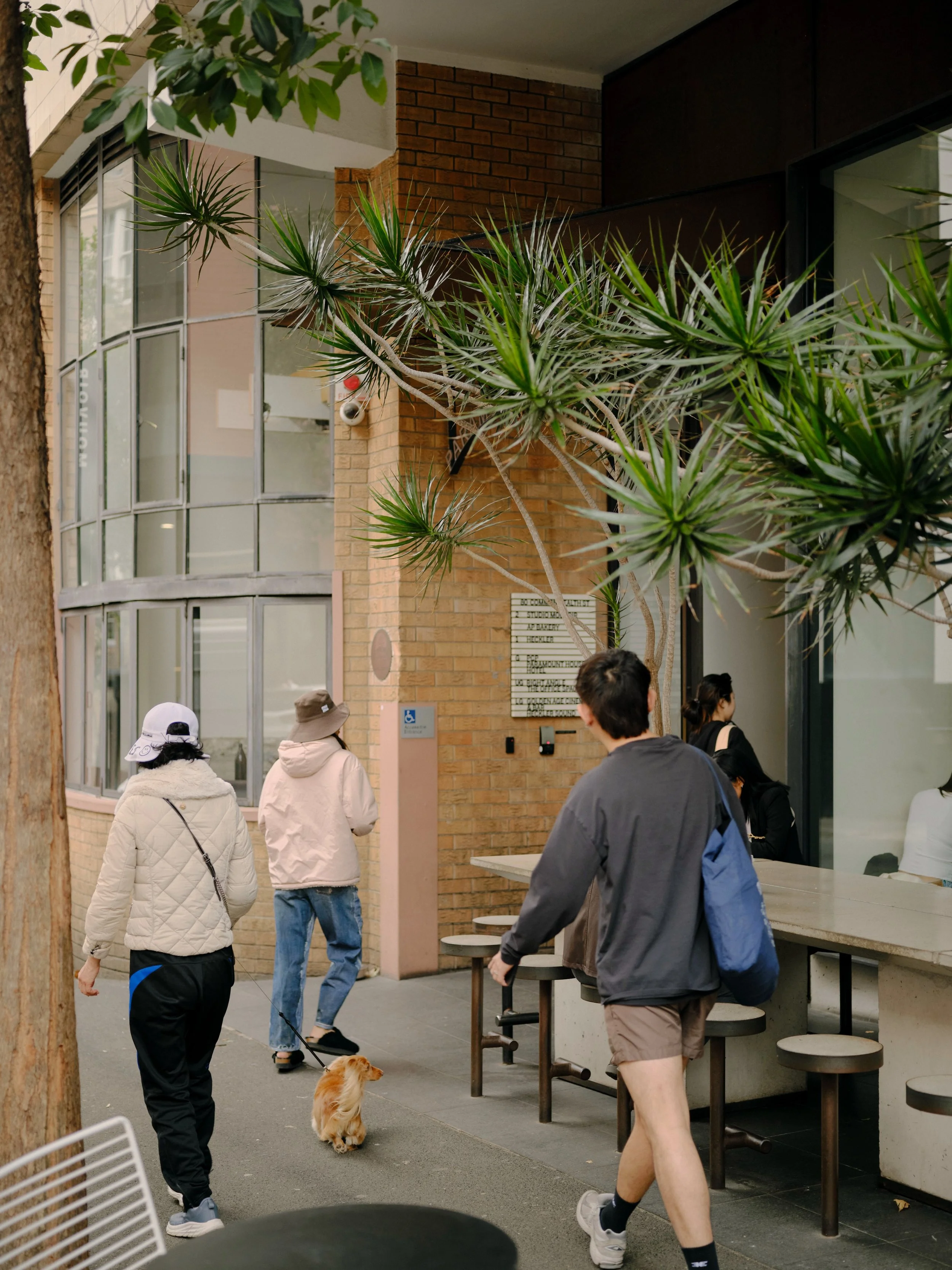 We&rsquo;re on! Take a seat at our communal table outside to soak up that Surry Hills shine 🌞