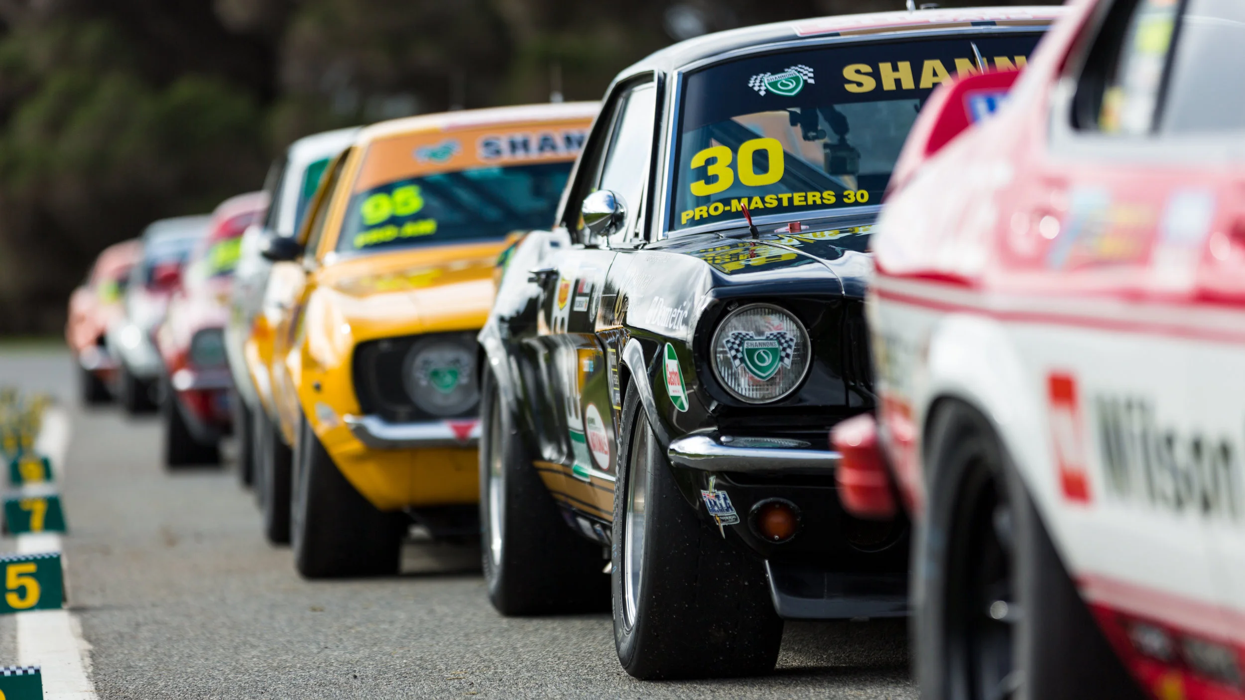 The Touring Car Masters line up before heading on track for the Shannon's Nationals at Phillip Island.