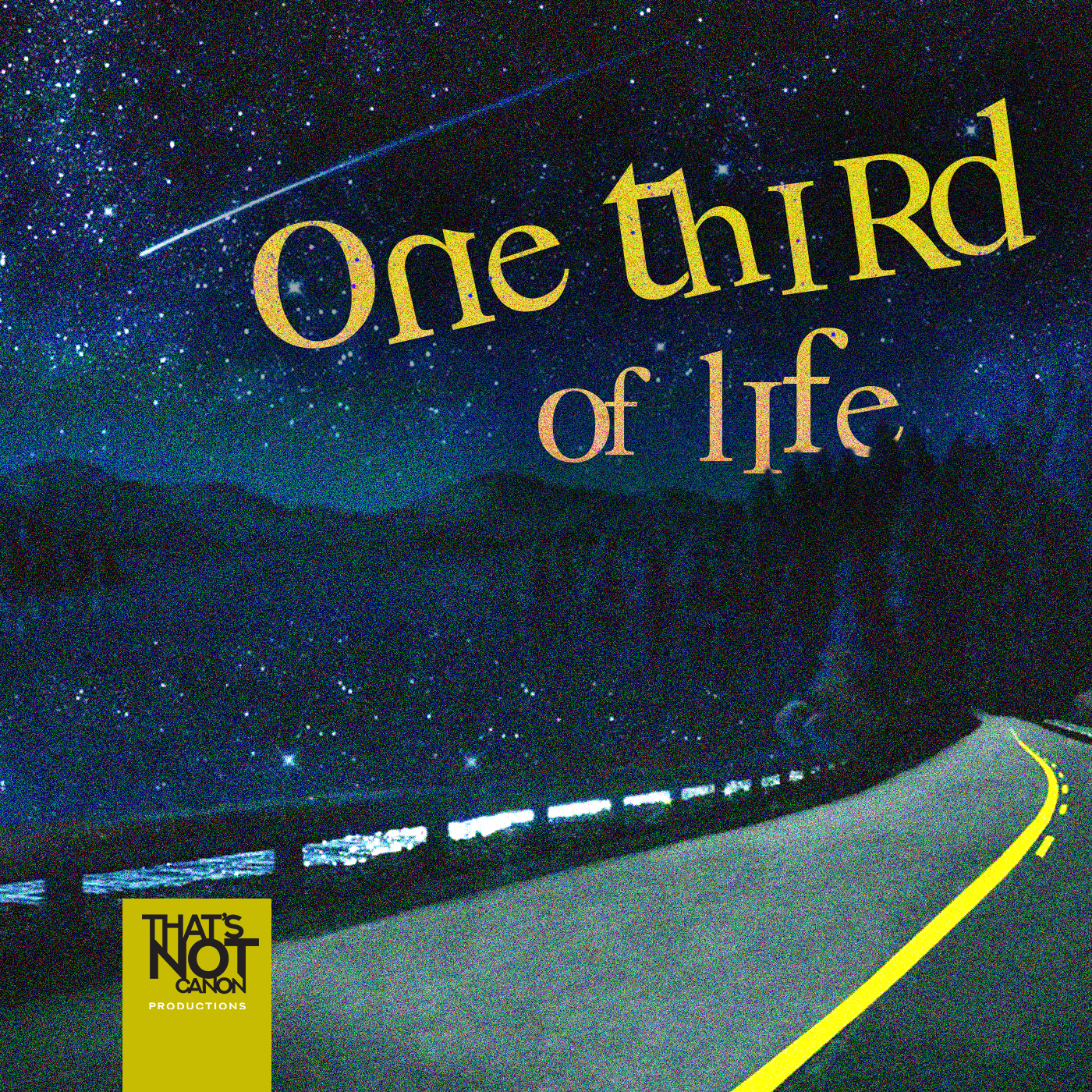 ONE THIRD OF LIFE