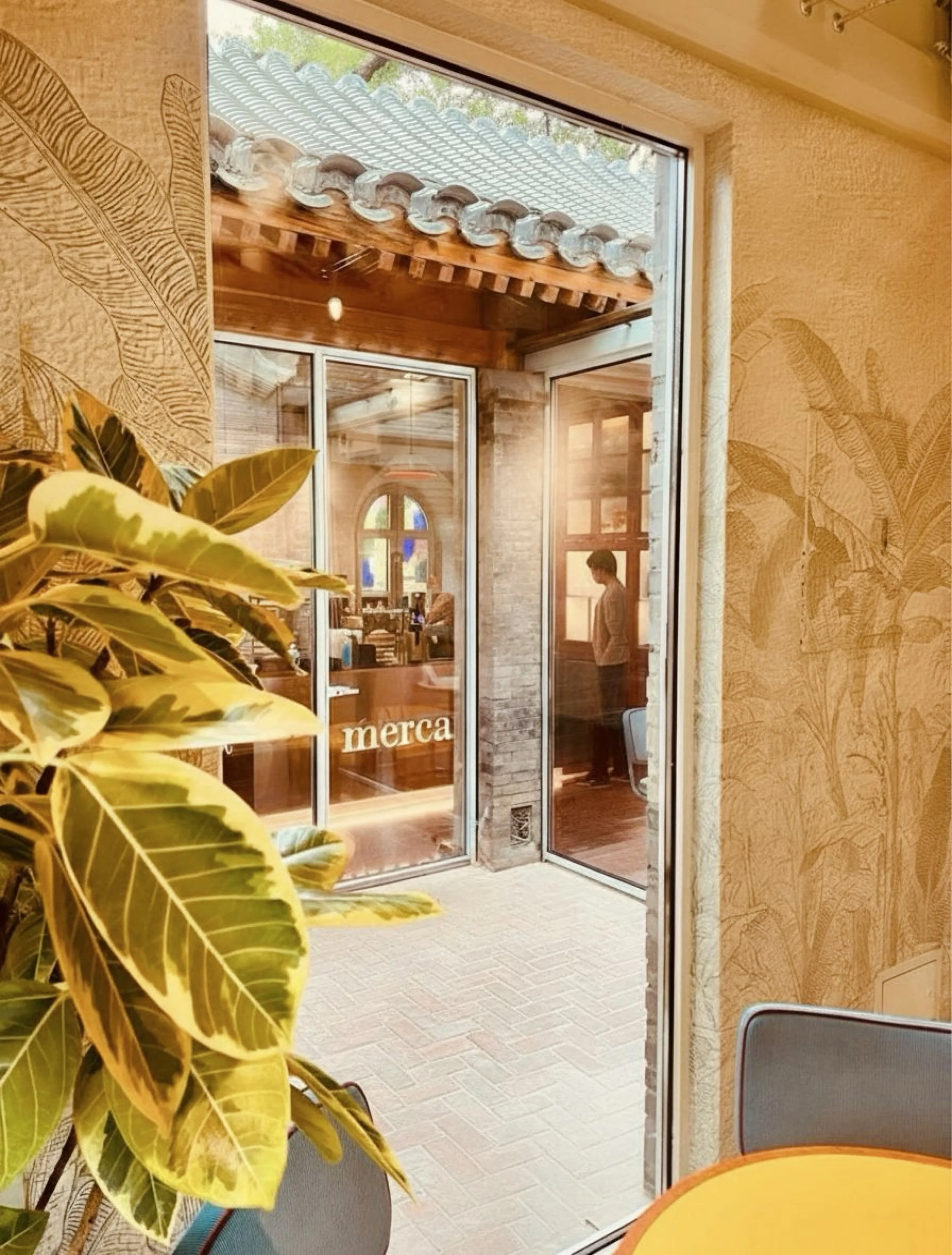 Small yard empty.jpg