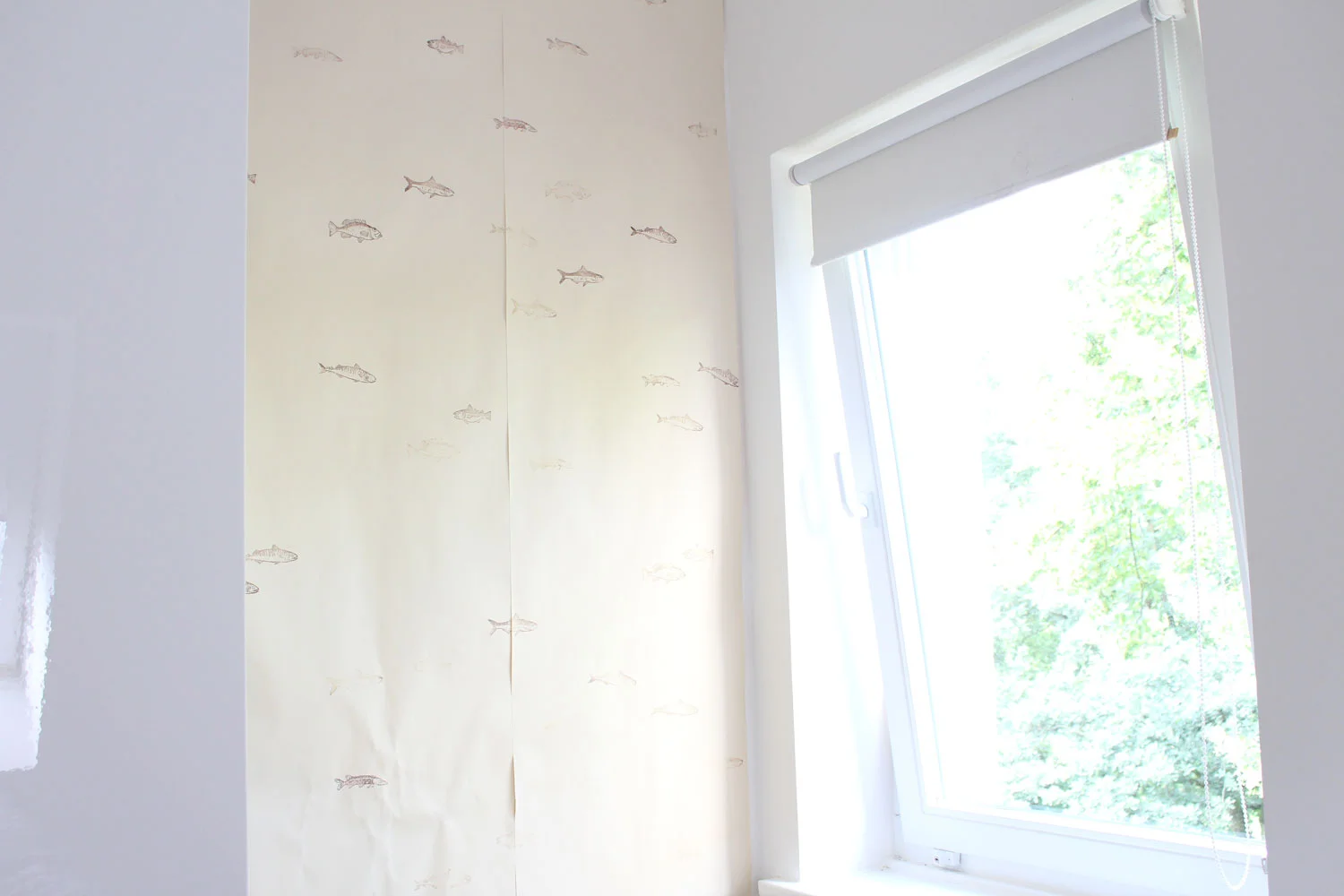 I used my own fish stamps to make my own wall paper.