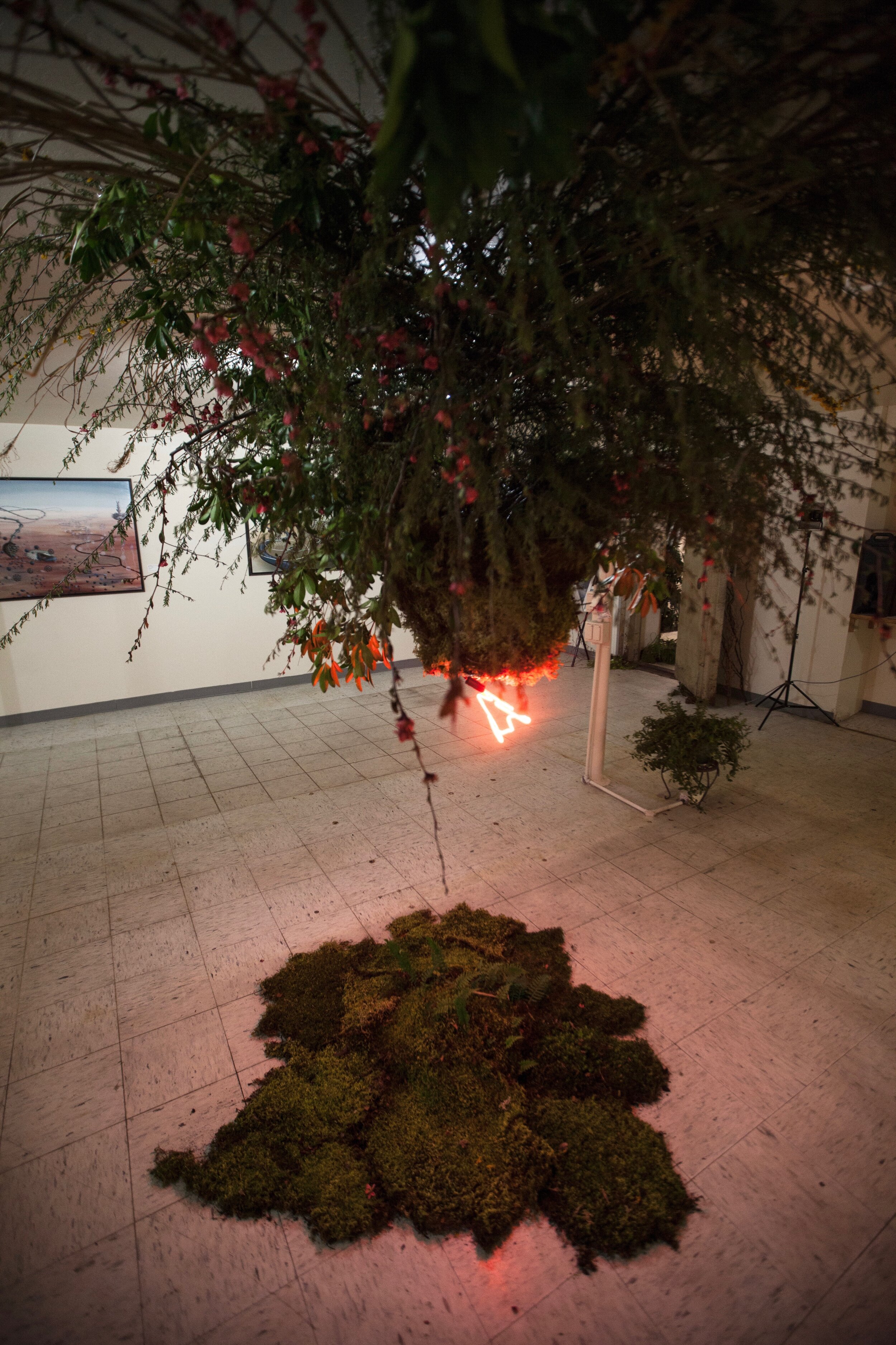 Jacklily Floral Installations